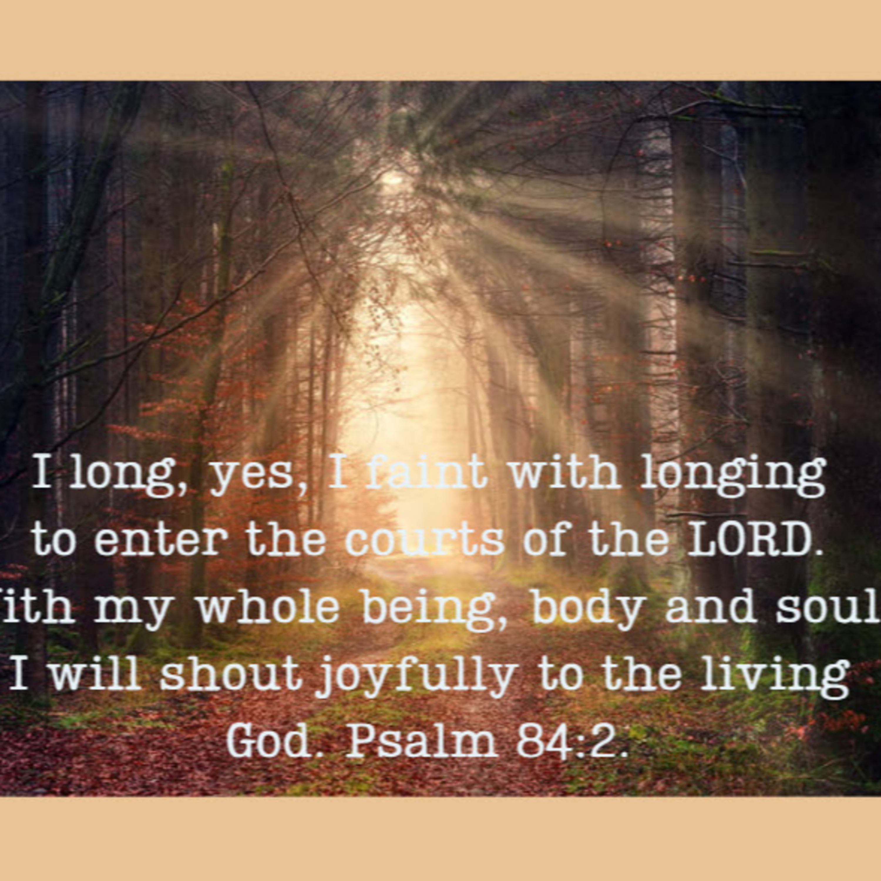 Daily Audio Torah ~ April 15, 2025 ~ Longing for the Courts of the Lord... episode artwork