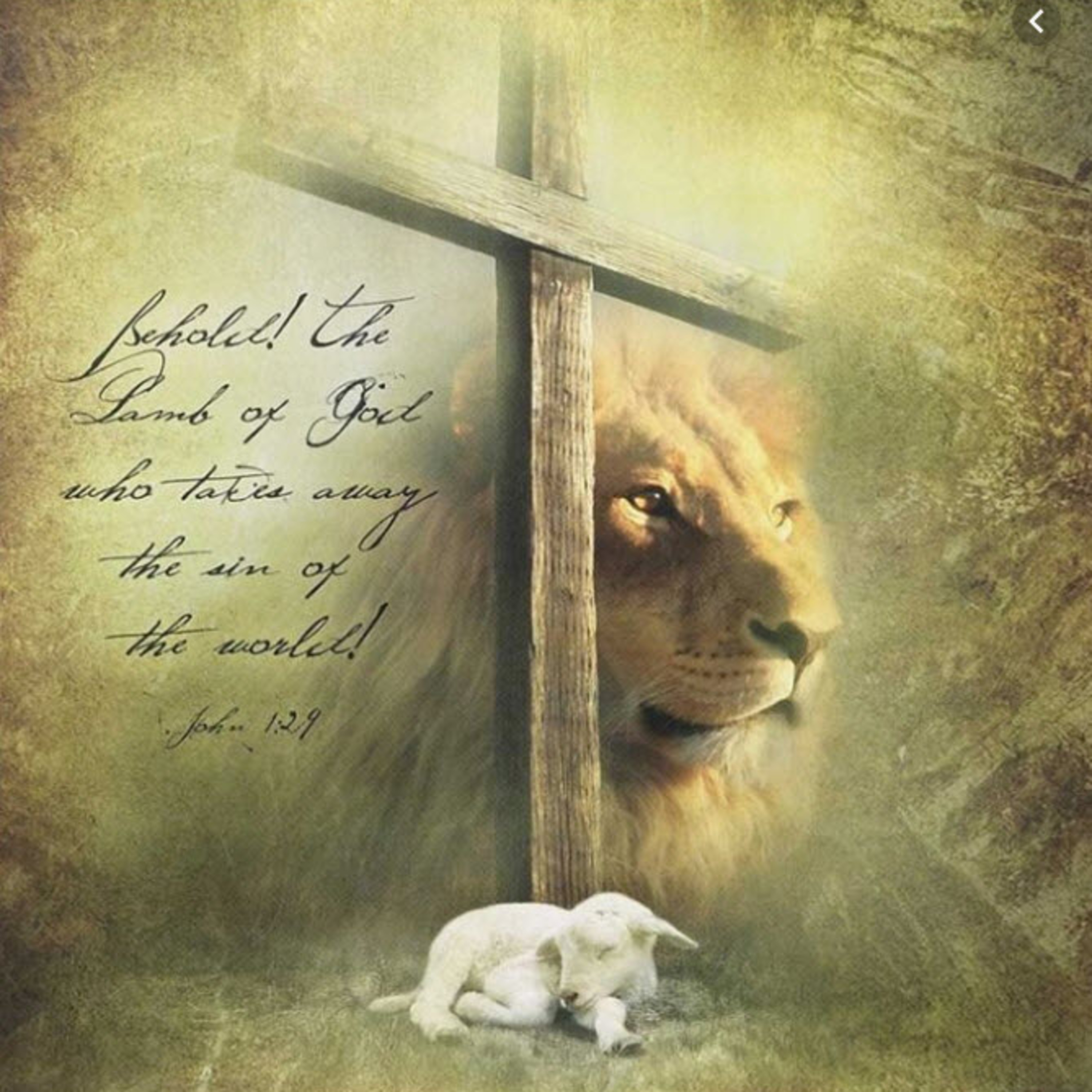 Daily Audio Torah ~ April 19, 2025 ~ The Meaning of Passover episode artwork