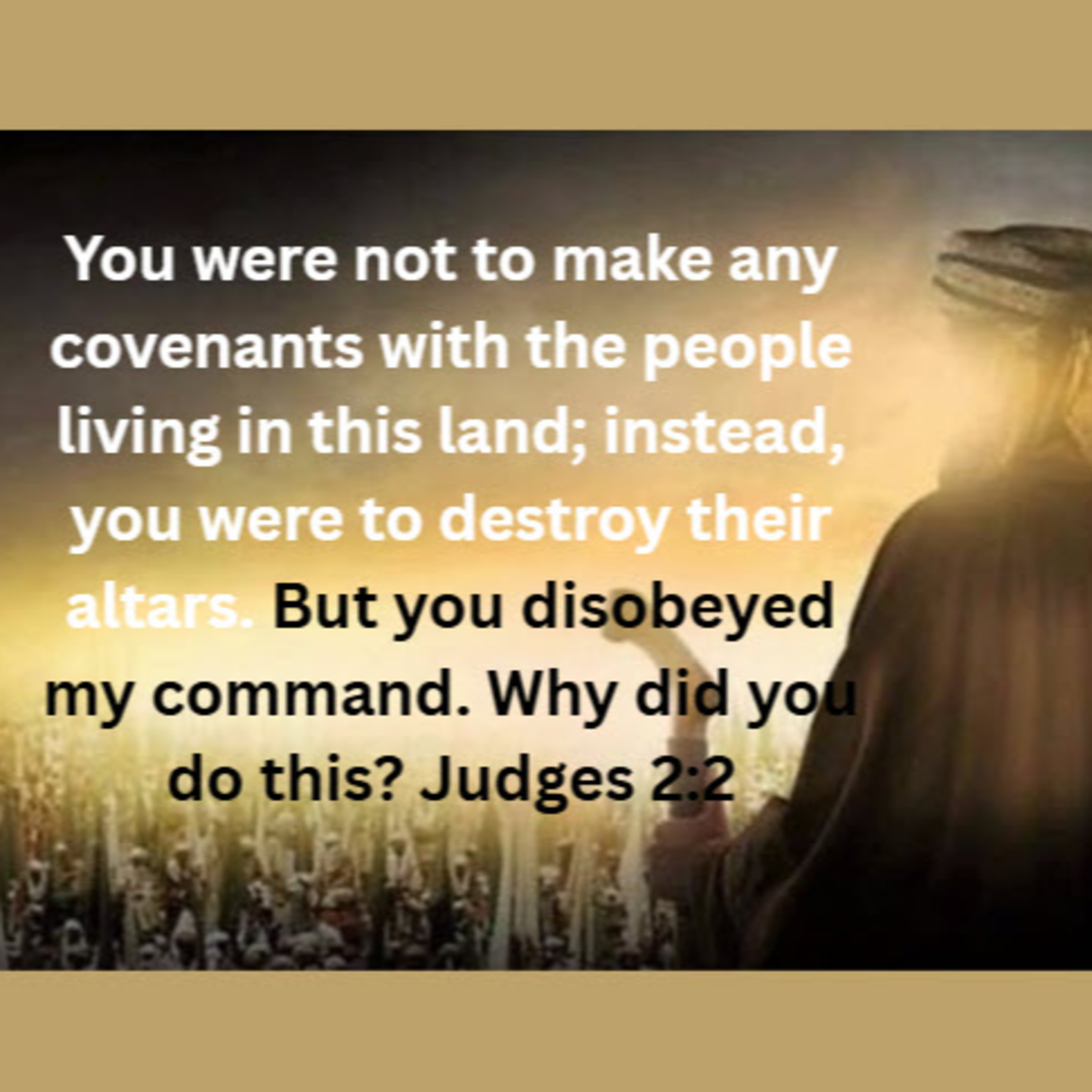 Daily Audio Torah ~ April 23, 2025 ~ Compromises and Consequences episode artwork