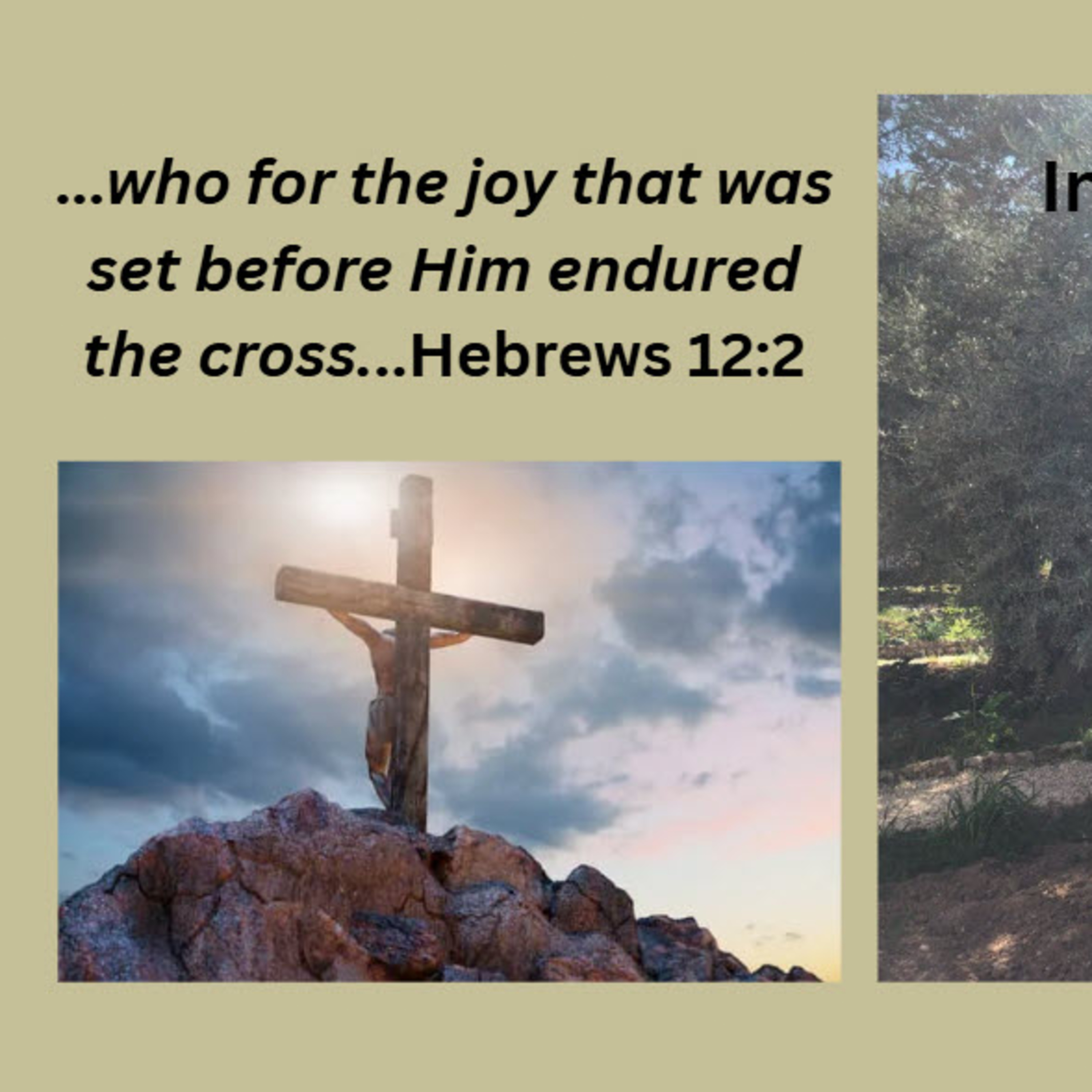 Daily Audio Torah ~ April 25, 2025 ~ For the Joy Set Before Him... episode artwork