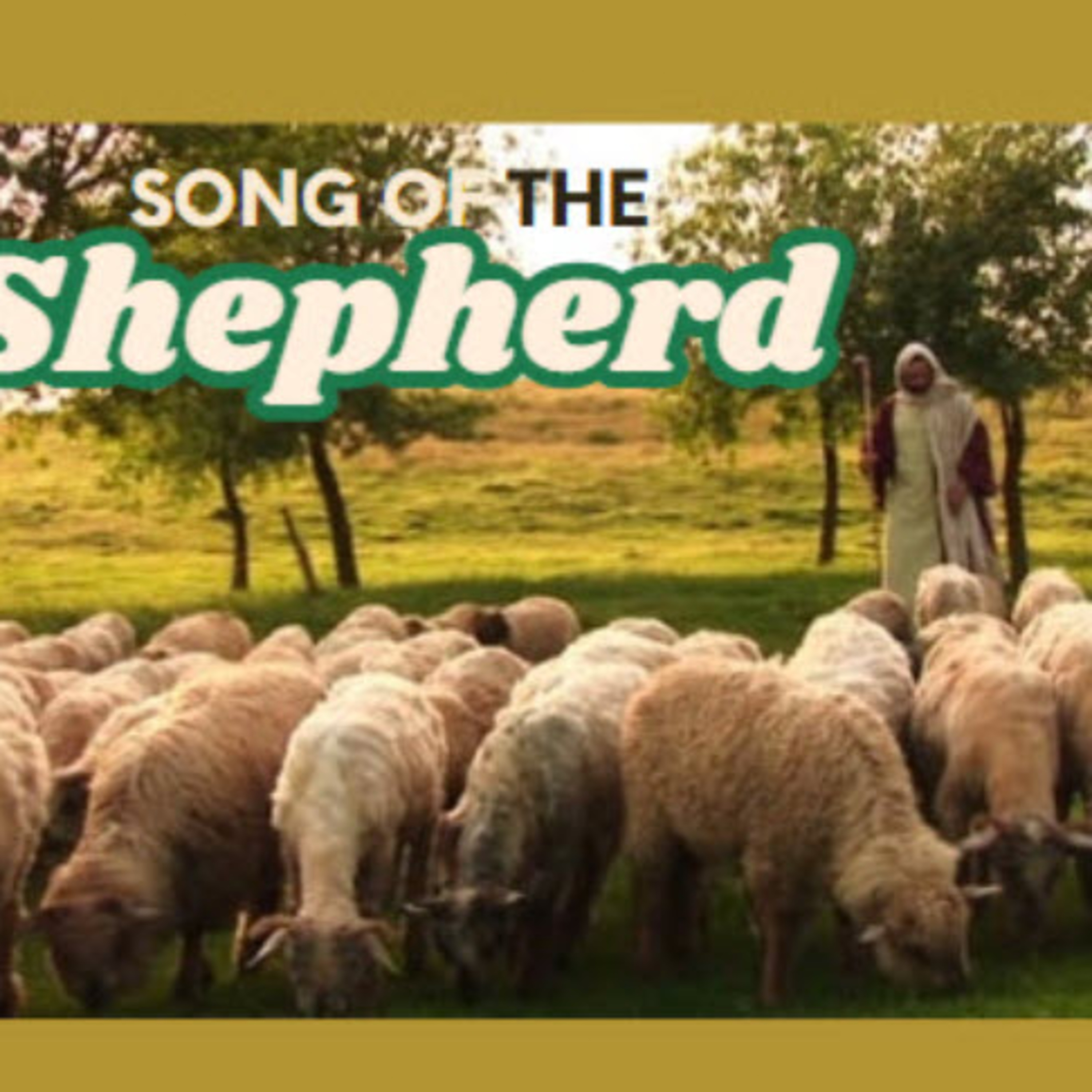 Daily Audio Torah ~ April 26, 2025 ~ We Are the Sheep of His Pasture episode artwork