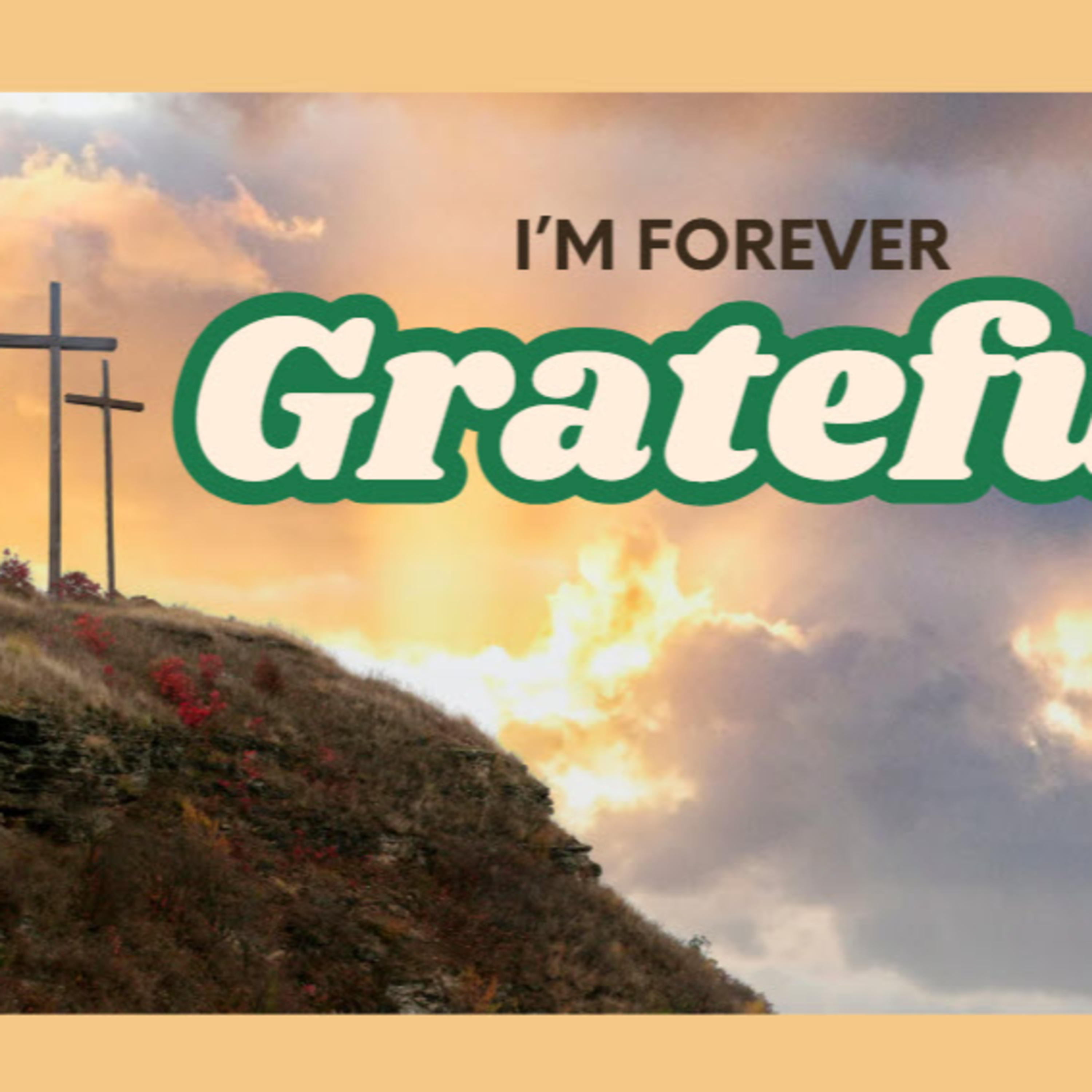 Daily Audio Torah ~ April 27, 2025 ~ I'm Forever Grateful episode artwork