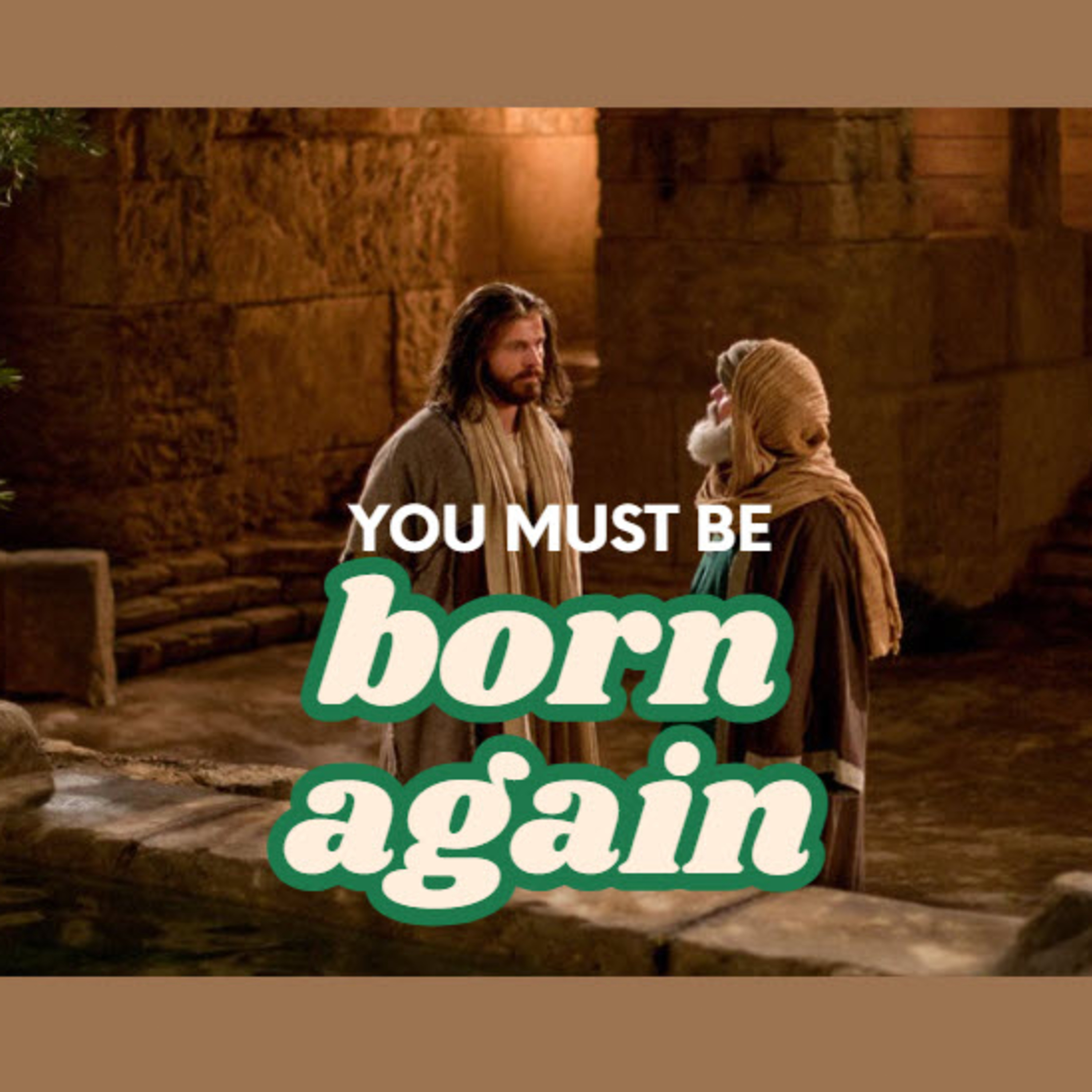 Daily Audio Torah ~ May 3, 2025 ~ You Must Be Born Again! episode artwork