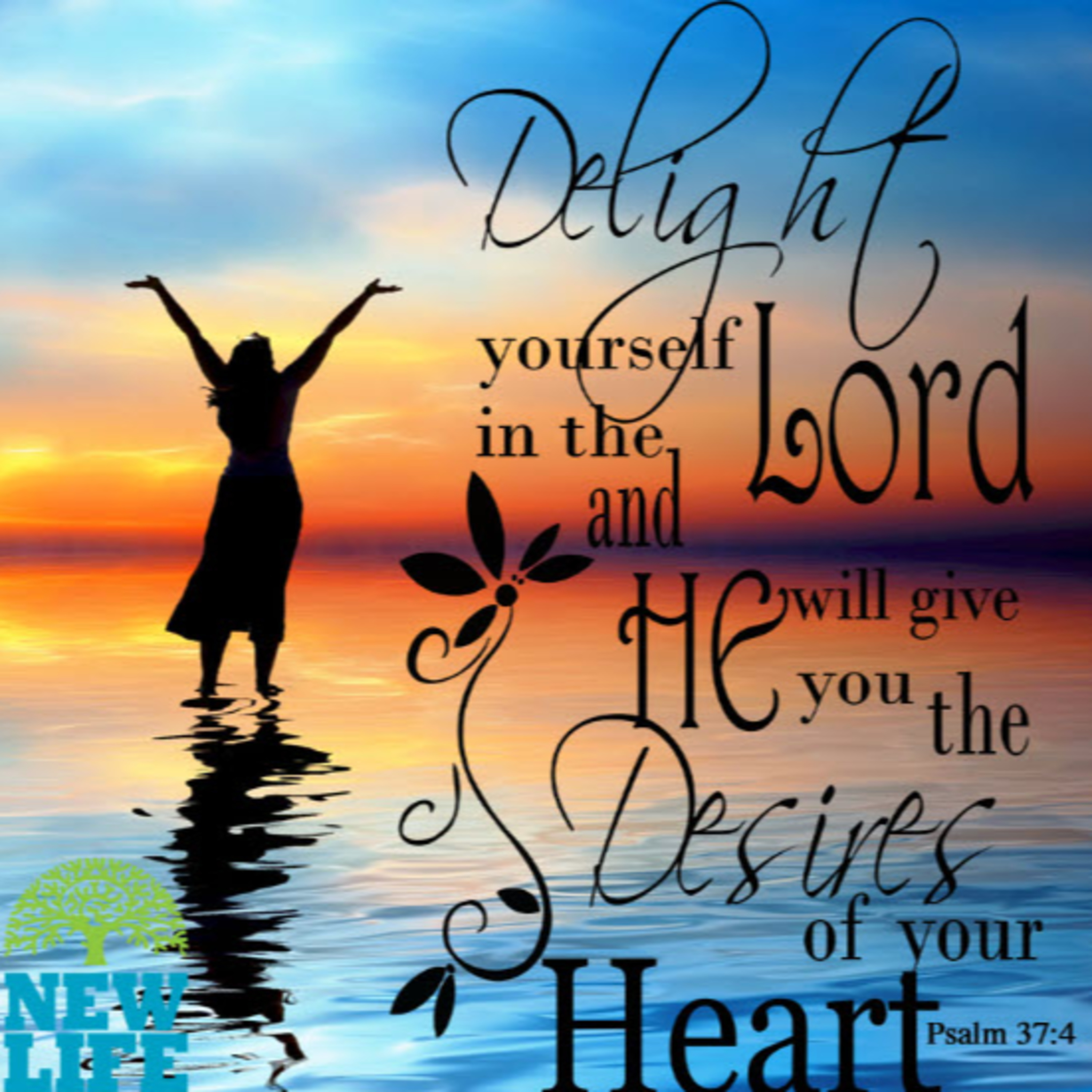Daily Audio Torah ~ May 7, 2025 ~ When There is a Long Delay to the Desire of Your Heart... episode artwork