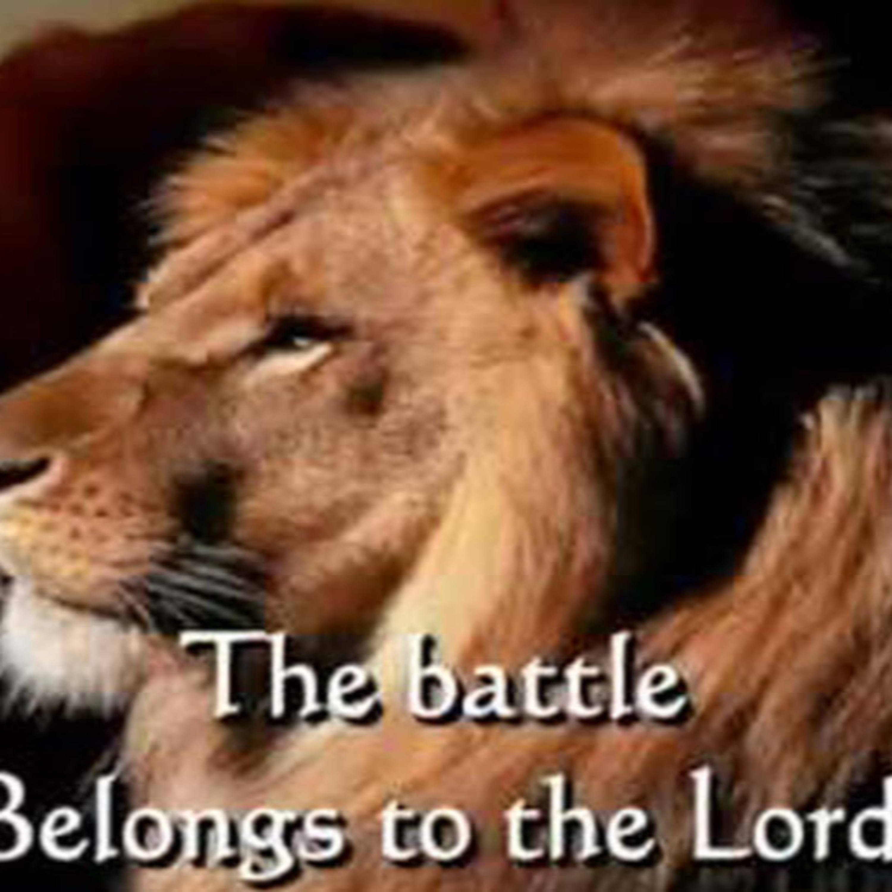 Daily Audio Torah ~ May 8, 2025 ~ The Battle Belongs to the LORD episode artwork
