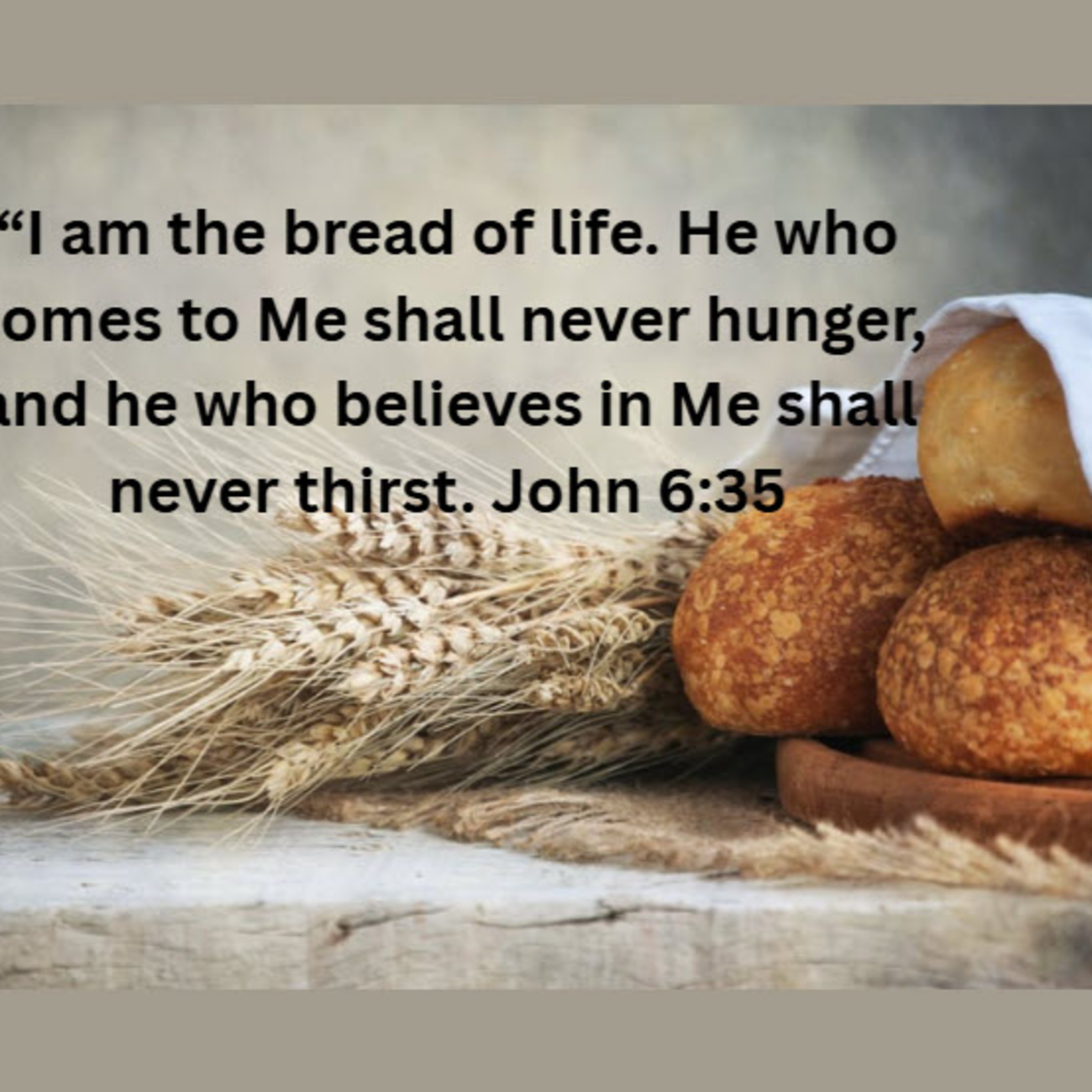 Daily Audio Torah ~ May 10, 2025 ~ I AM the Bread of Life! episode artwork