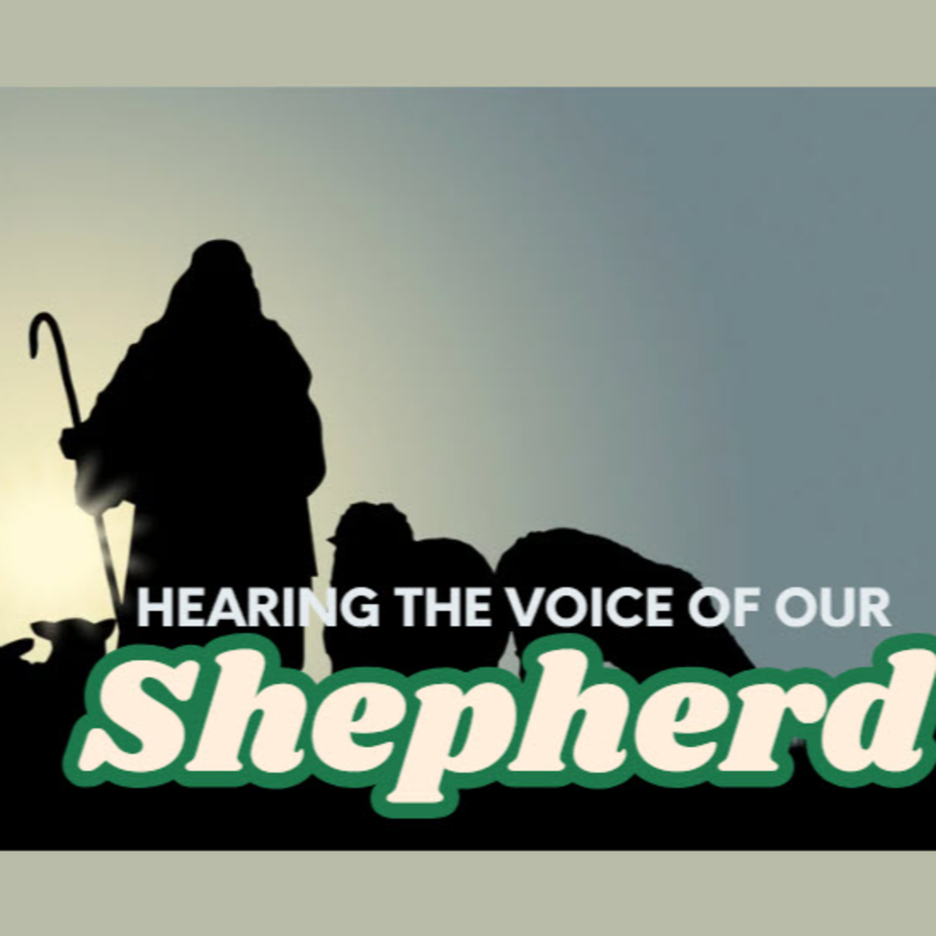 Daily Audio Torah ~ May 18, 2025 ~ Hearing the Voice of Our Shepherd episode artwork