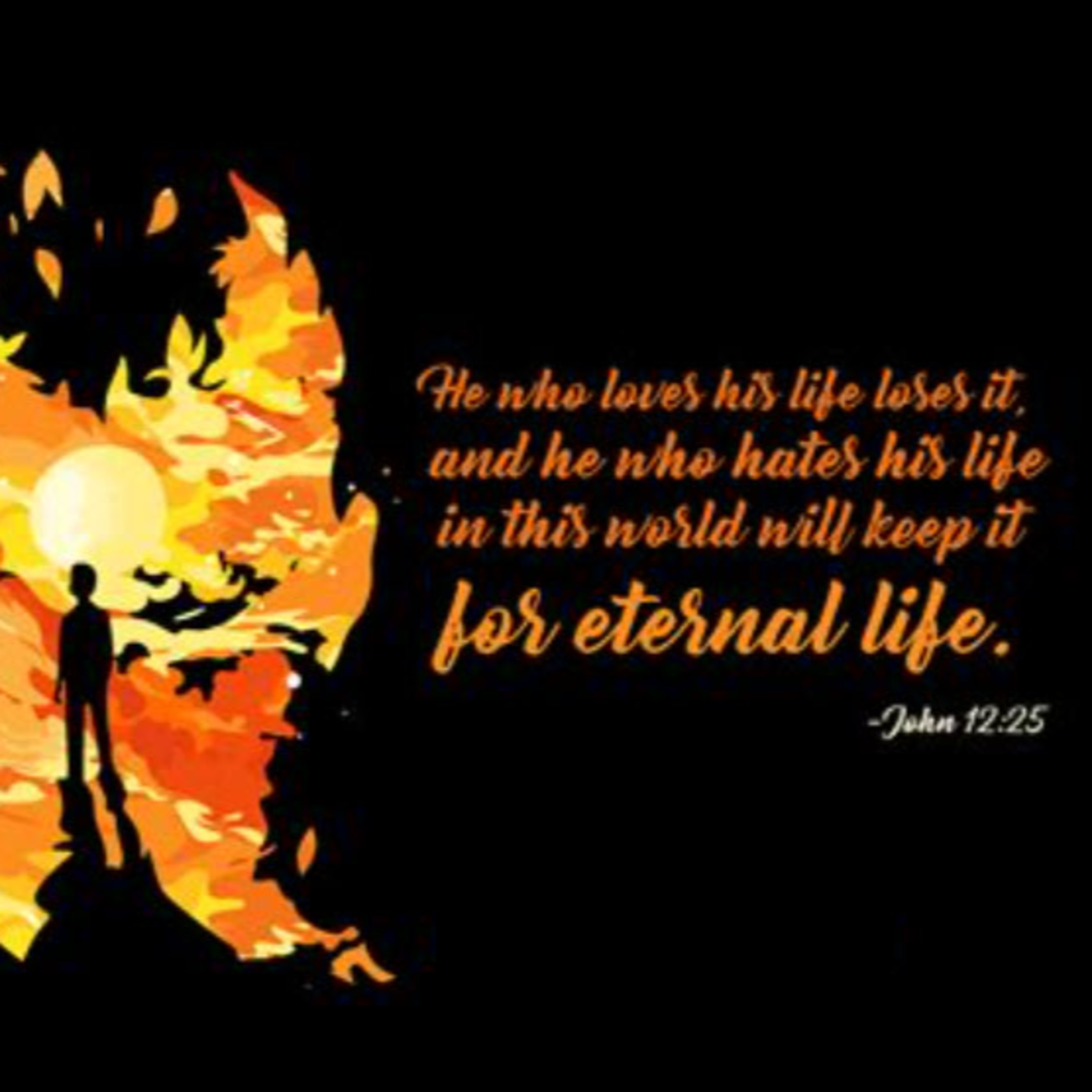 Daily Audio Torah ~ May 22, 2025 ~ He Who Loves His Life Shall Lose it episode artwork