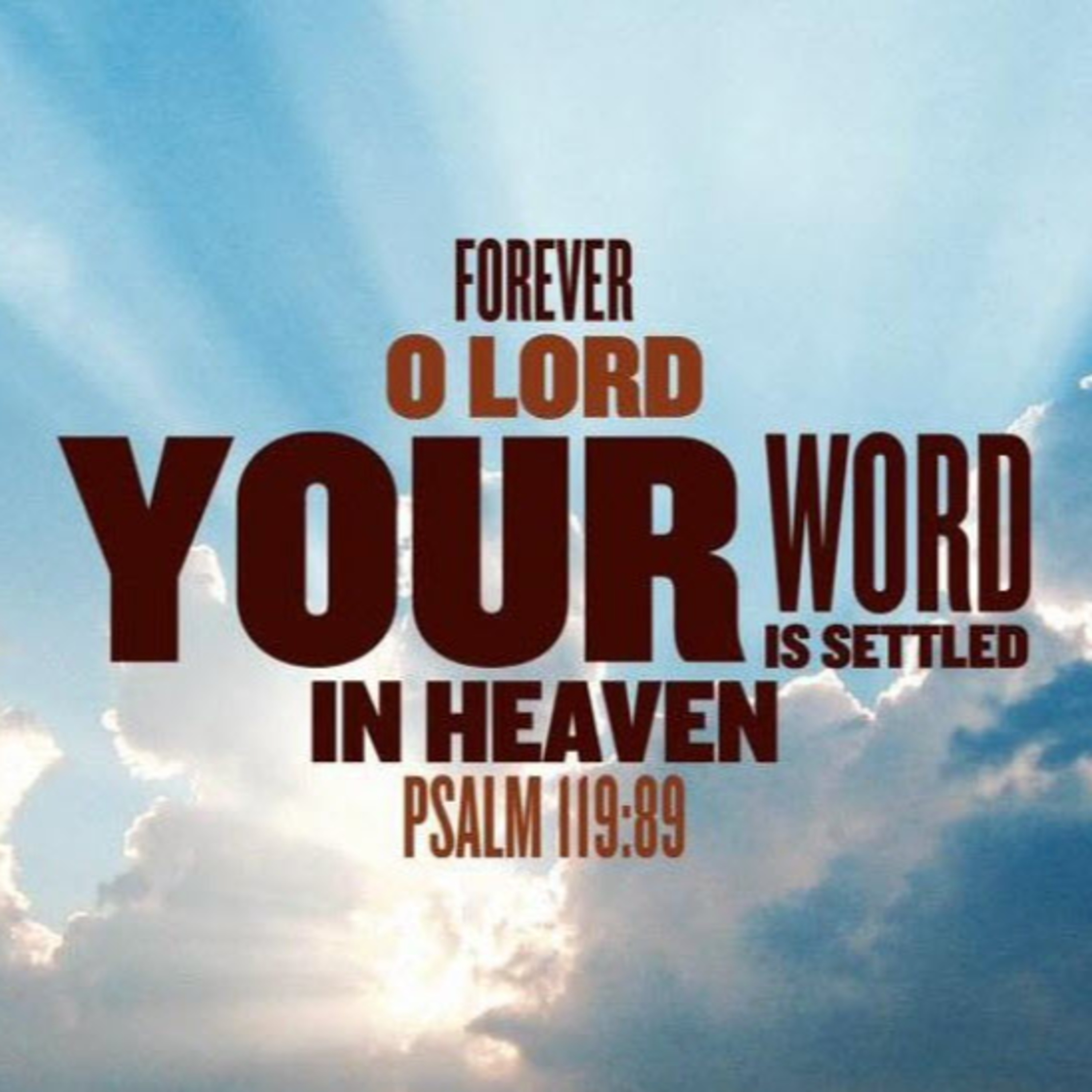 Daily Audio Torah ~ May 31, 2025 ~ Forever O LORD... episode artwork