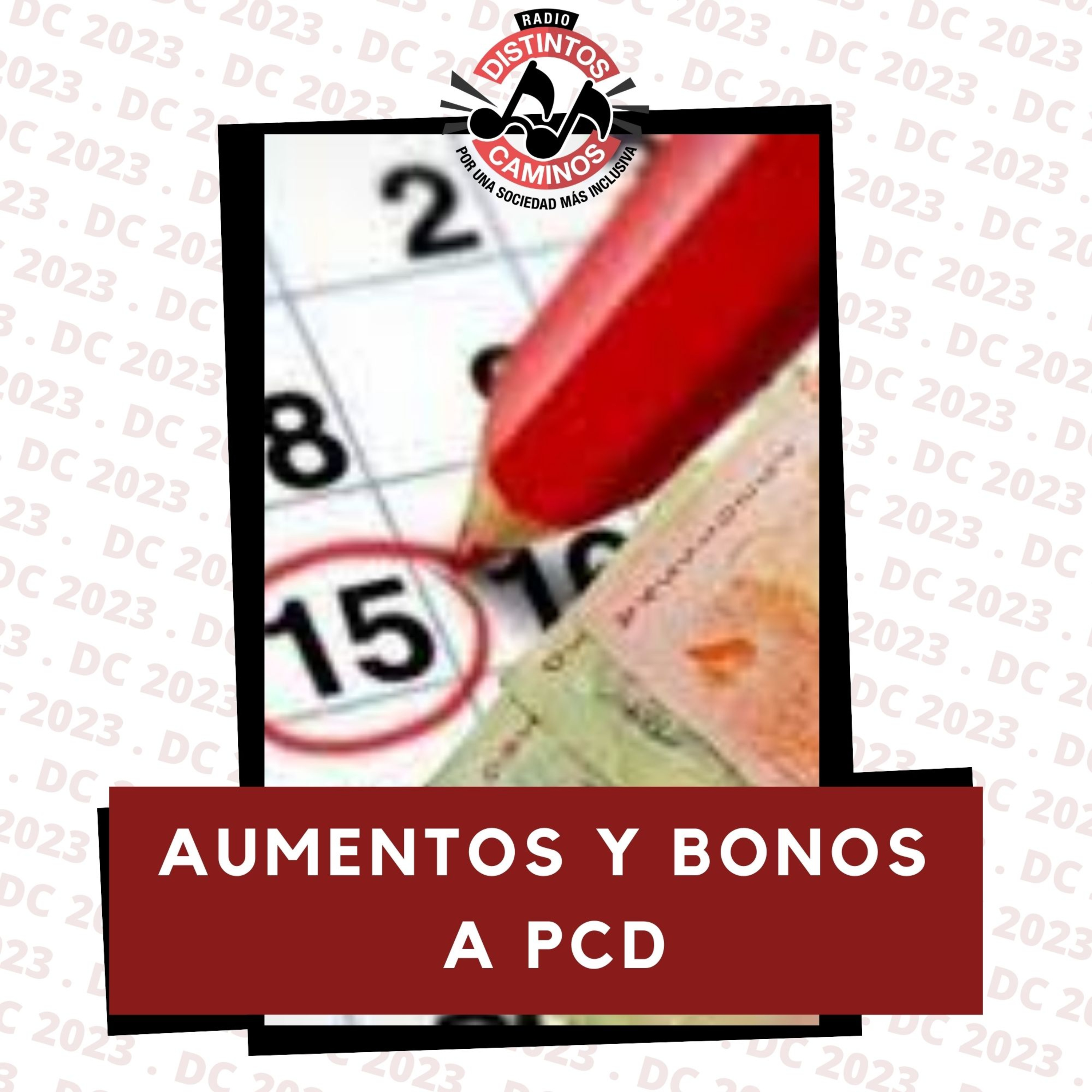 Portada de Distintos Caminos