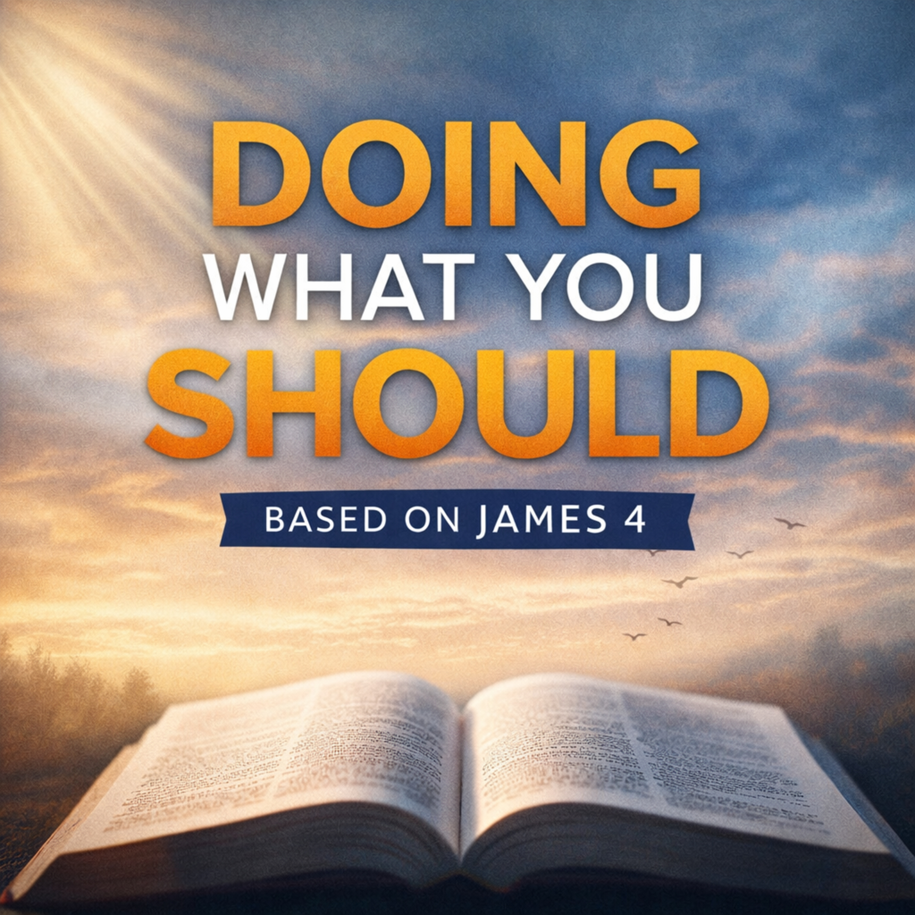 Doing What You Should episode artwork