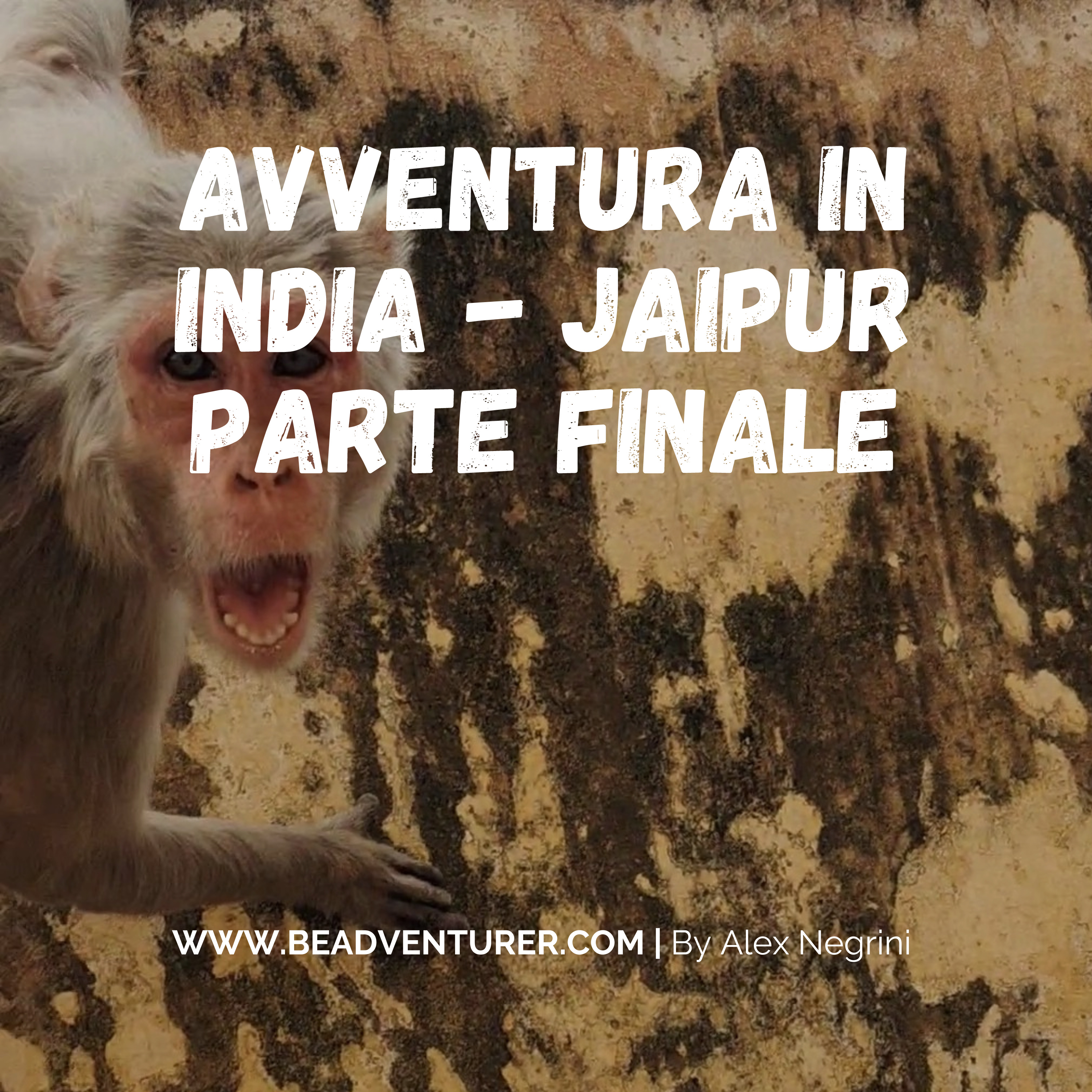 Emozioni in viaggio