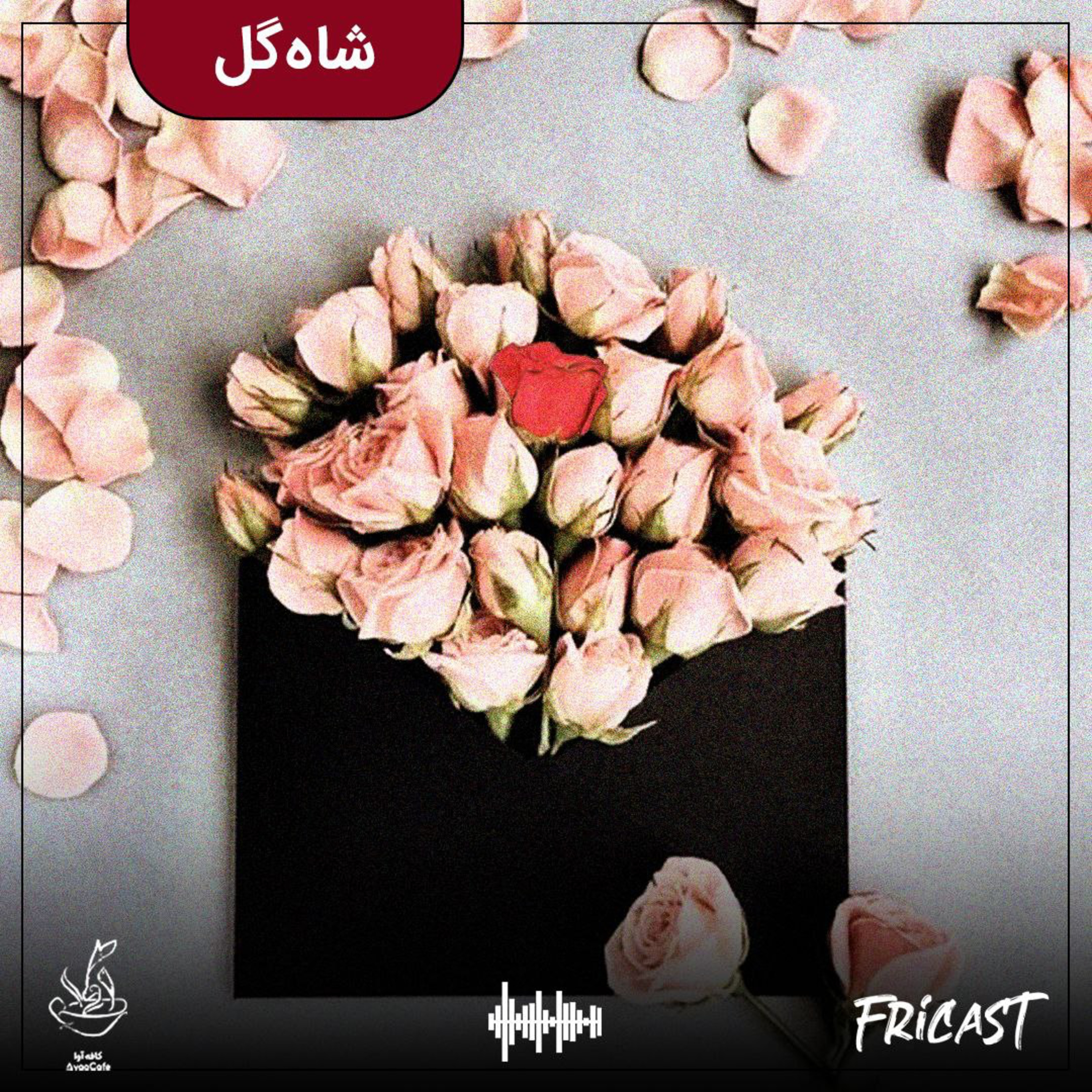 شاه‌گل-فرایکست episode artwork