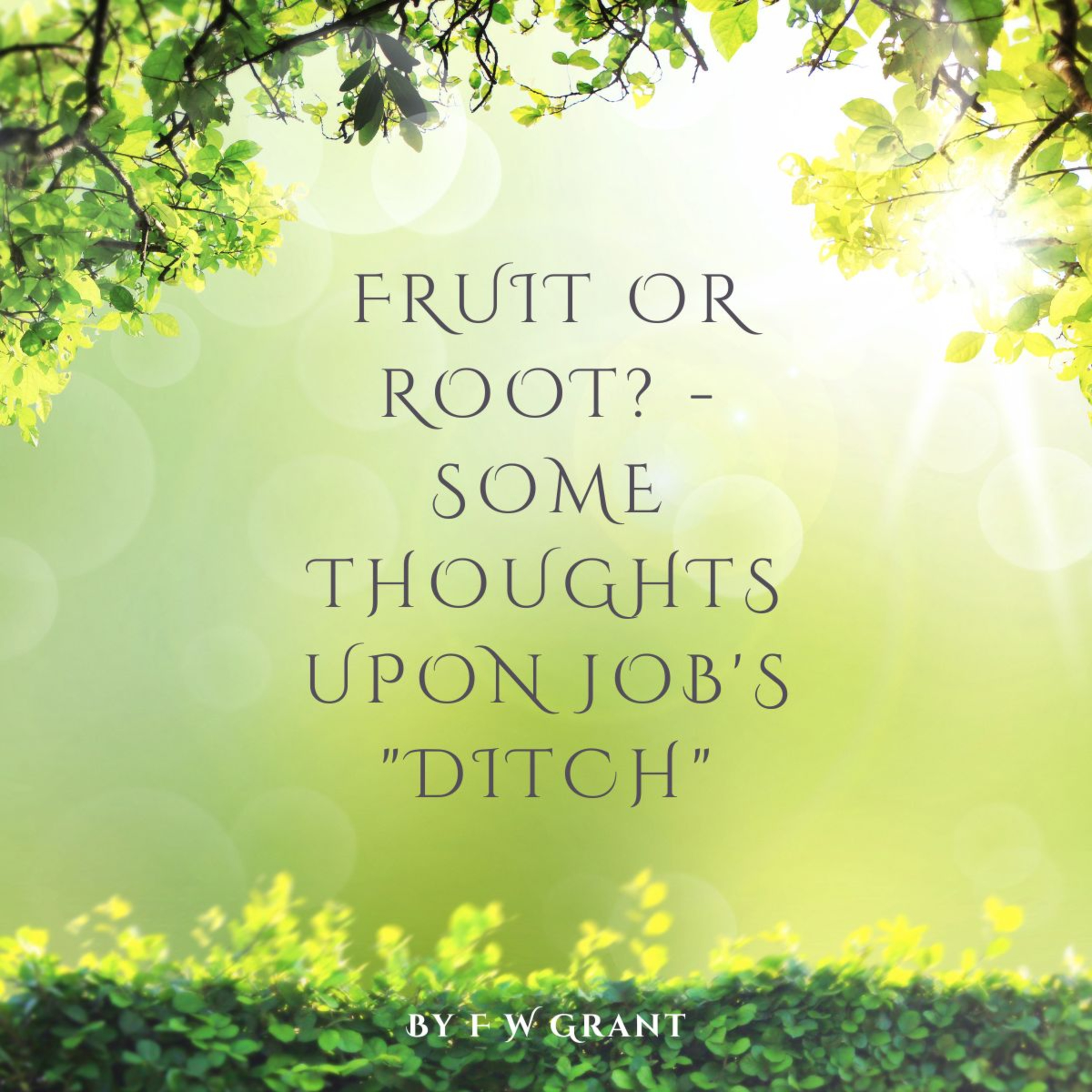 Fruit or Root? - Some Thoughts upon Job's "Ditch", By F W Grant