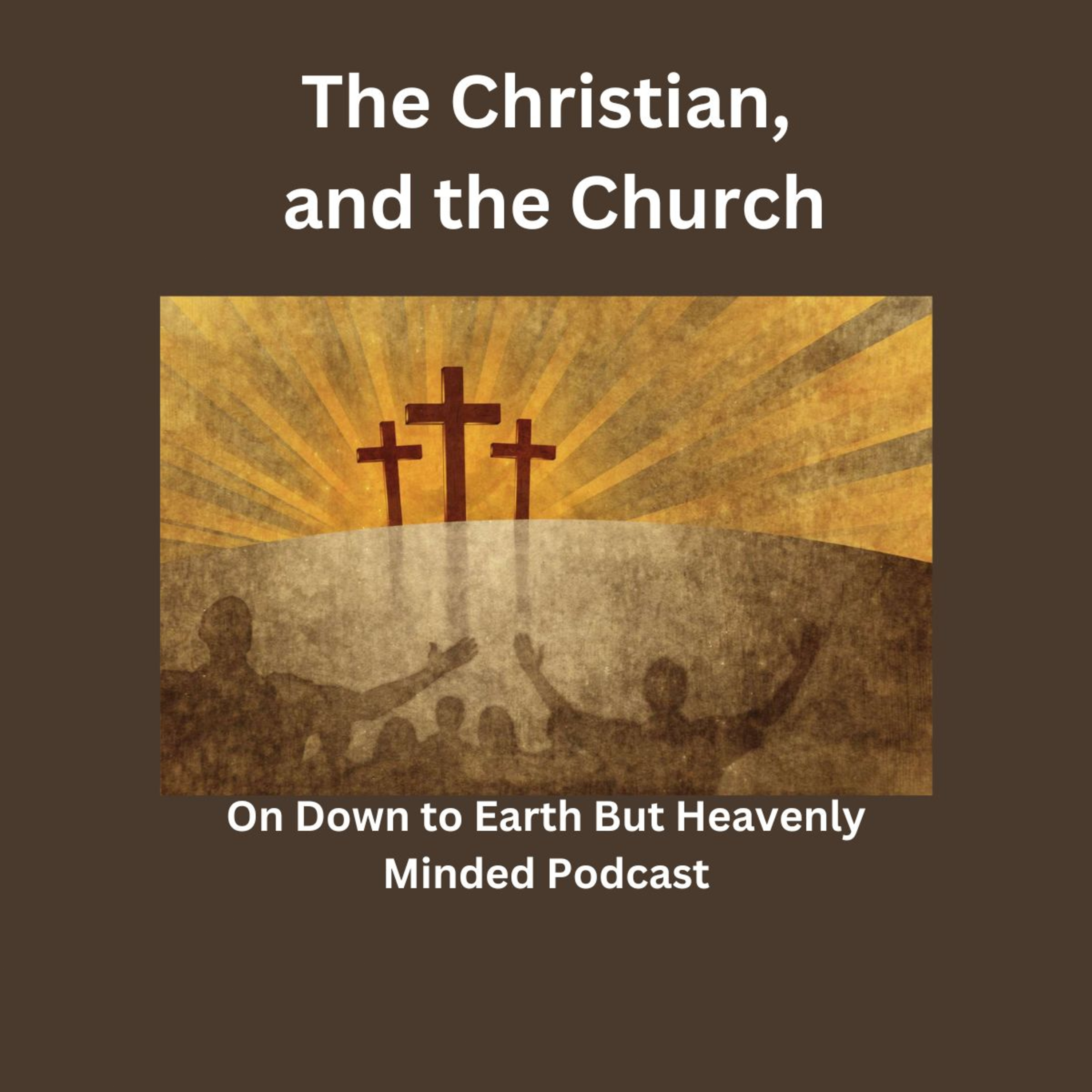 The Christian, and the Church, on Down to Earth But Heavenly Minded Podcast. episode artwork