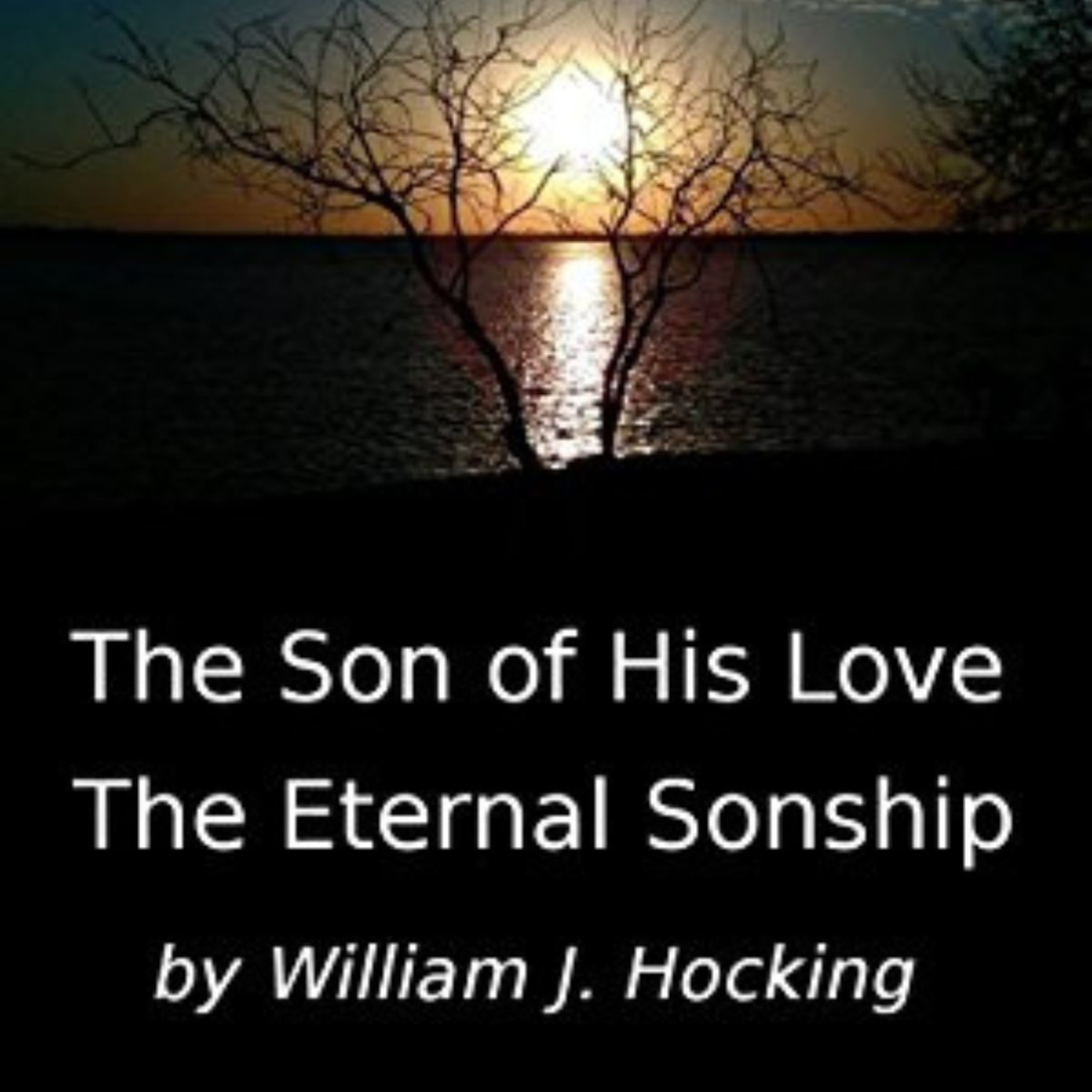 The Son of His Love - Papers on the Eternal Sonship,Chapter 3, by W J Hocking episode artwork