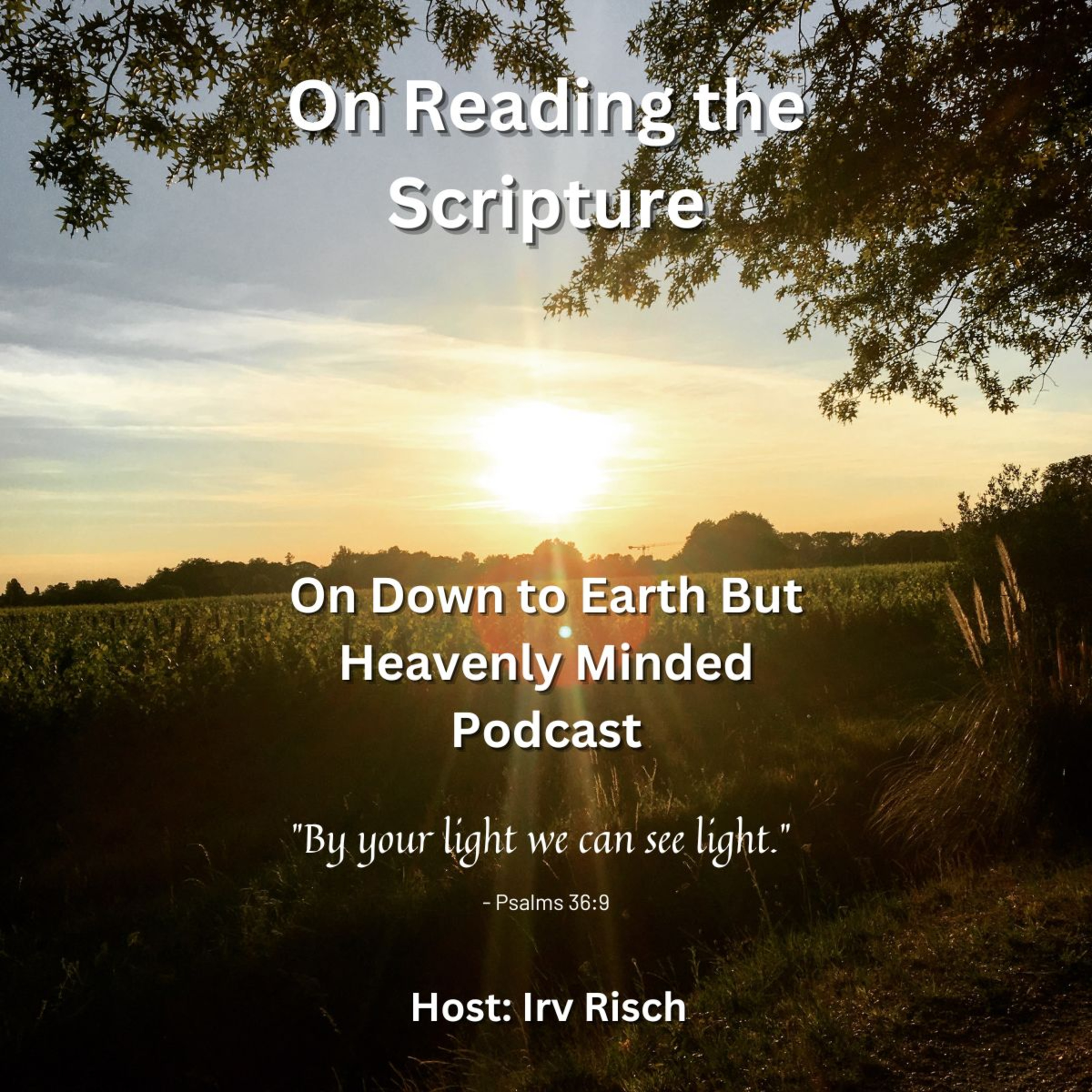 On Reading the Scripture, on Down to Earth But Heavenly Minded Podcast episode artwork