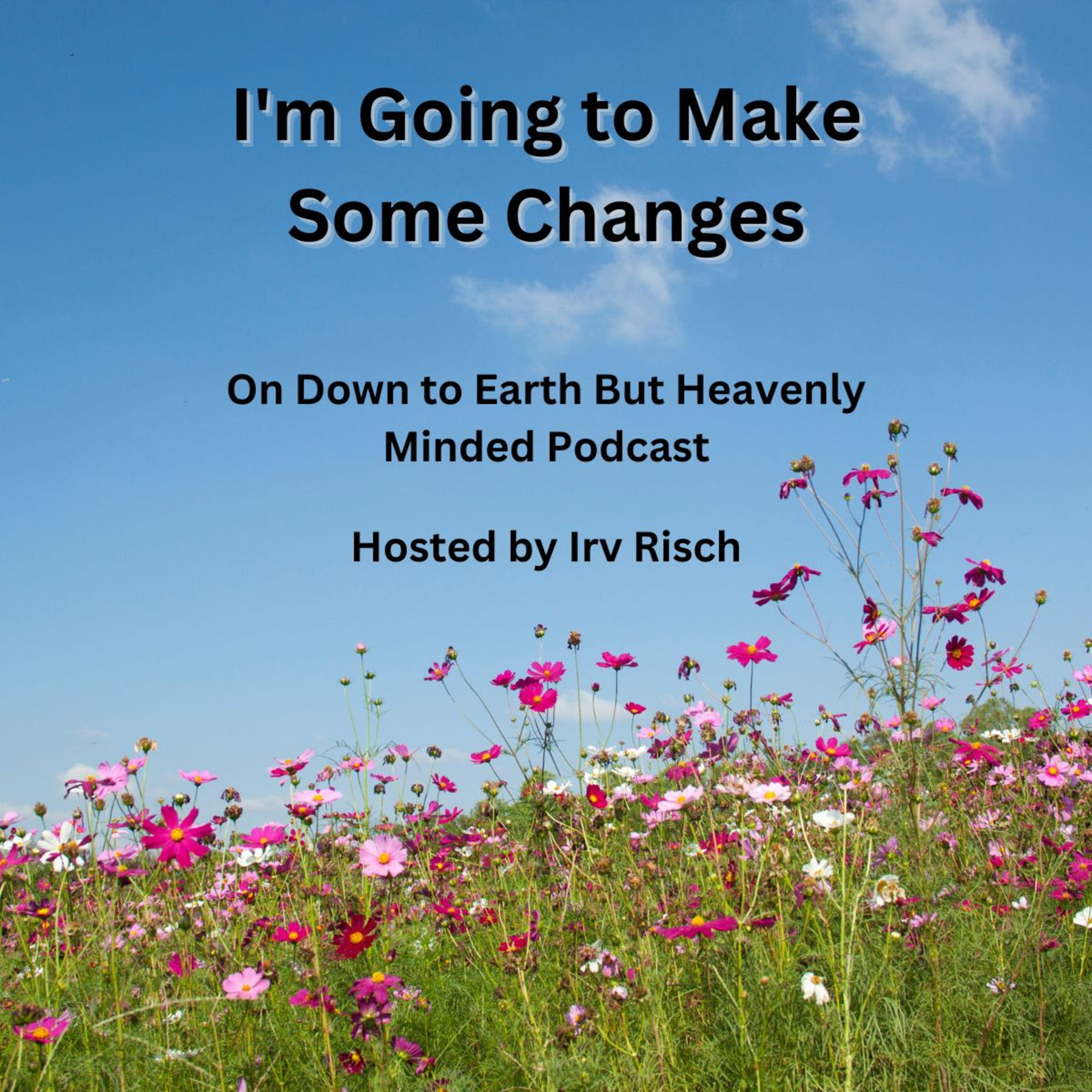I'm Going to Make Some Changes on Down to Earth But Heavenly Minded Podcast episode artwork