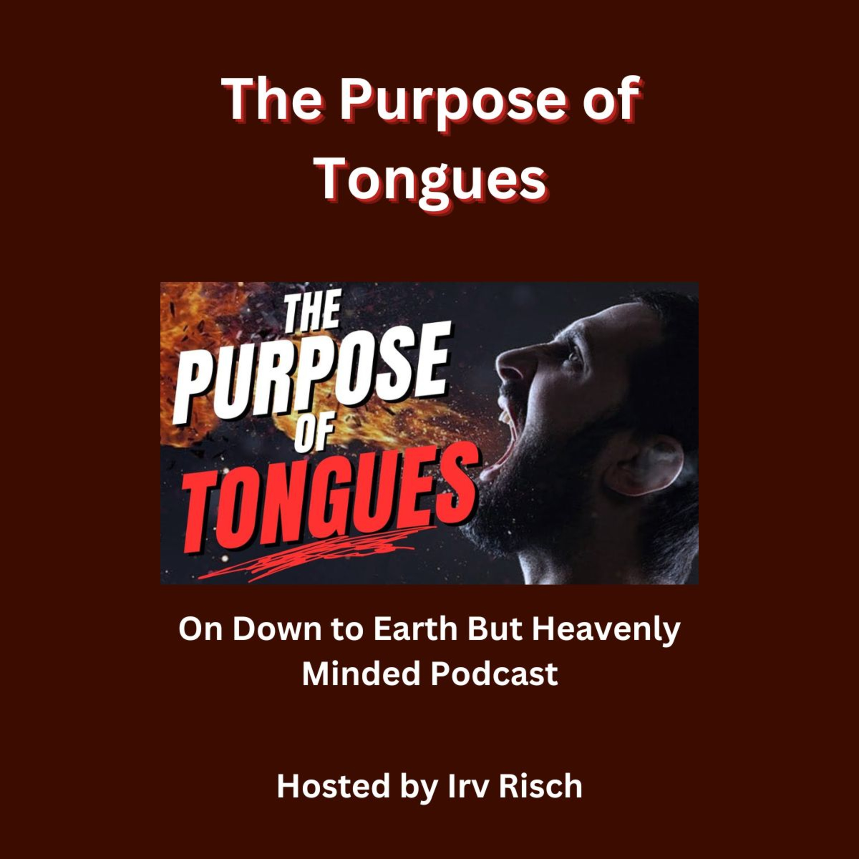 The Purpose of Tongues On Down to Earth But Heavenly Minded Podcast episode artwork