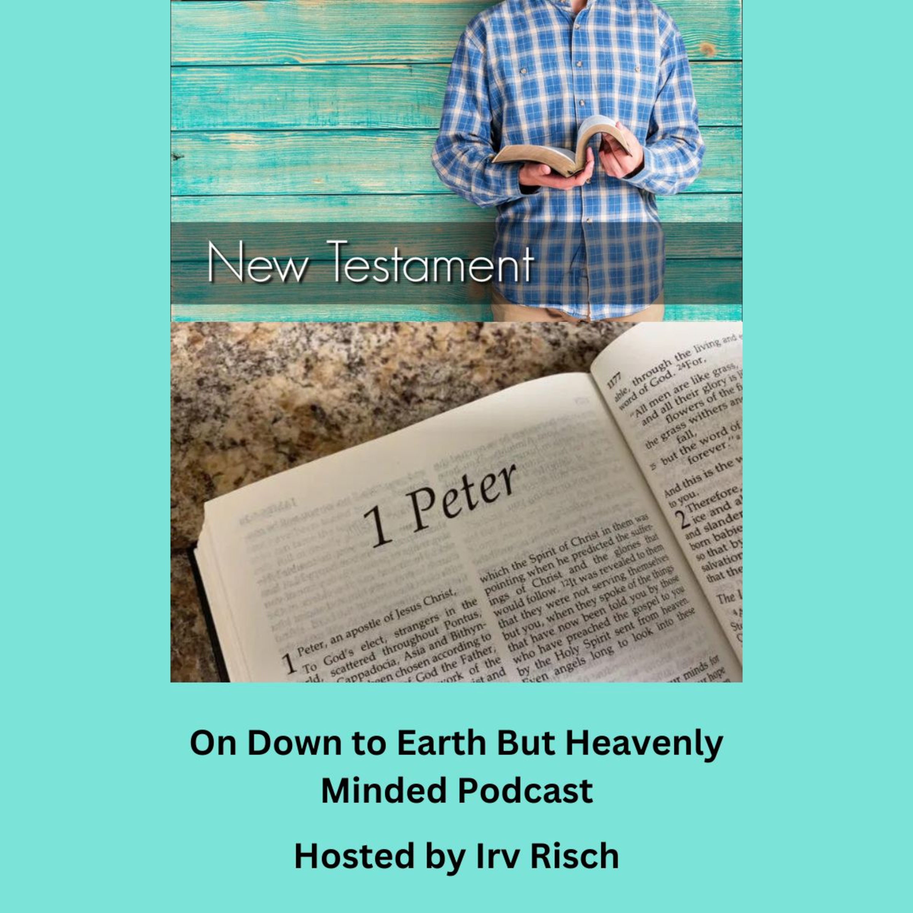 Study in the NT, 1st Peter 2, on Down to Earth But Heavenly Minded Podcast episode artwork