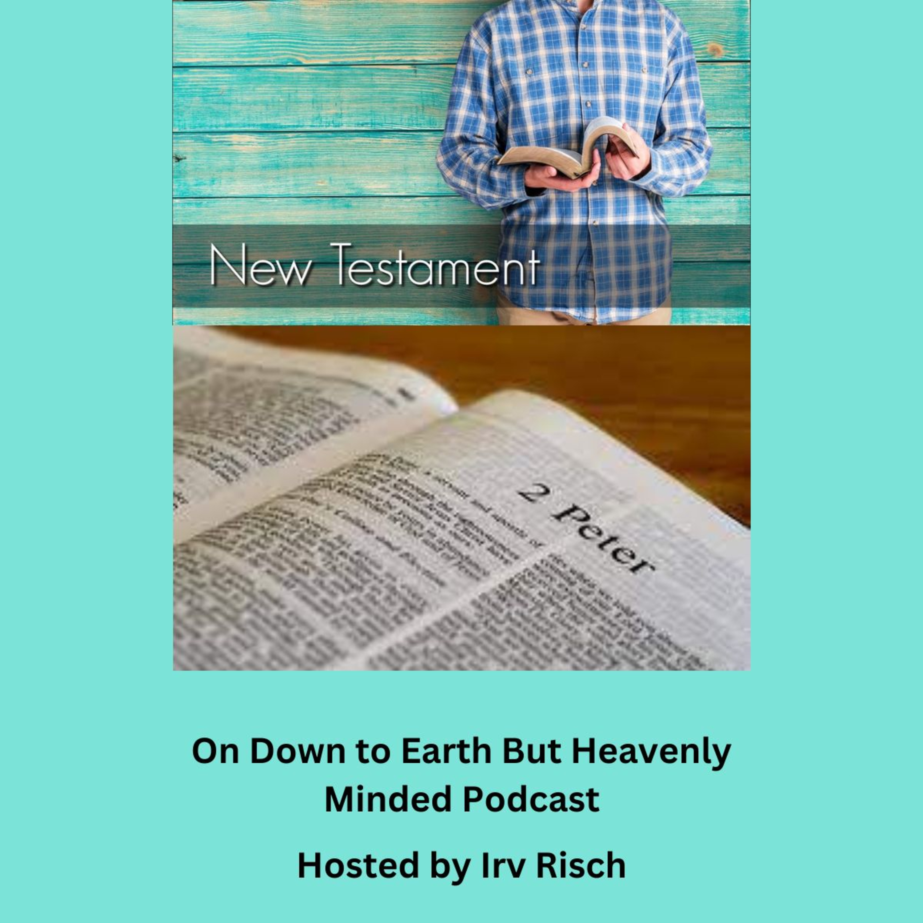Study in the NT, 2nd Peter 1, on Down to Earth But Heavenly Minded Podcast episode artwork
