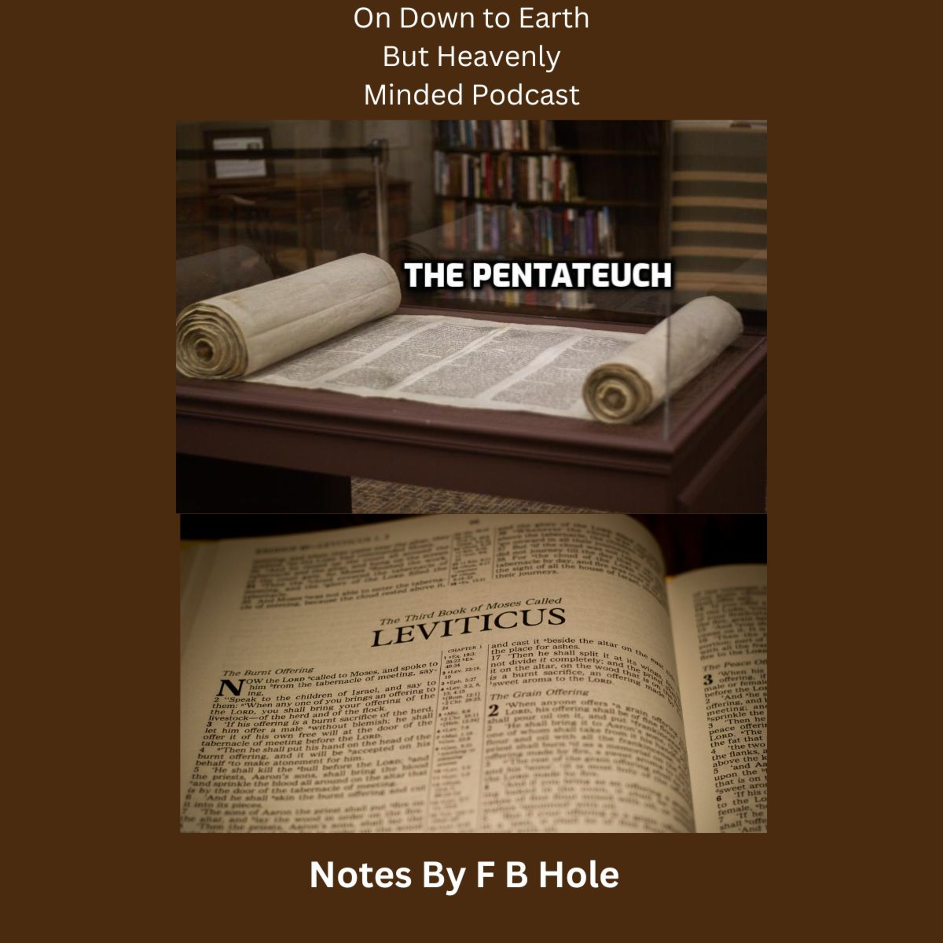 The Pentateuch, the first 5 books, Lev. 1 - 2:16, on Down to Earth But Heavenly Minded Podcast episode artwork