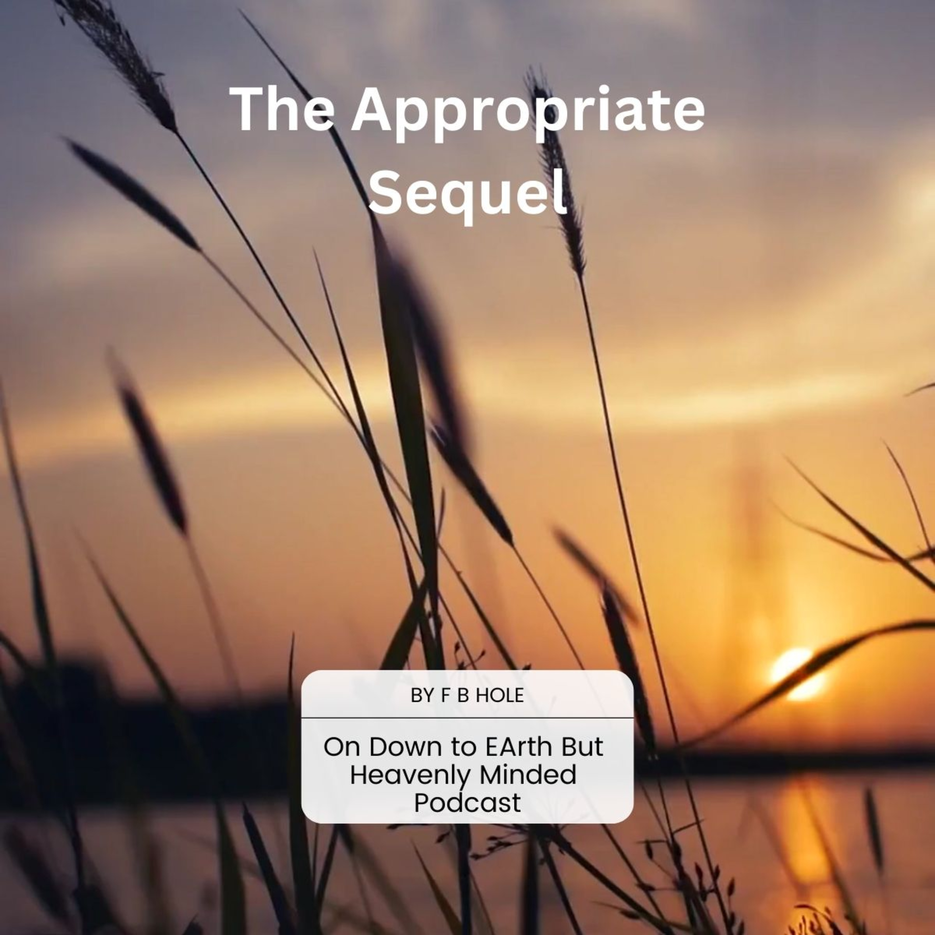 The Appropriate Sequel by F B Hole, on Down to Earth But Heavenly Minded Podcast