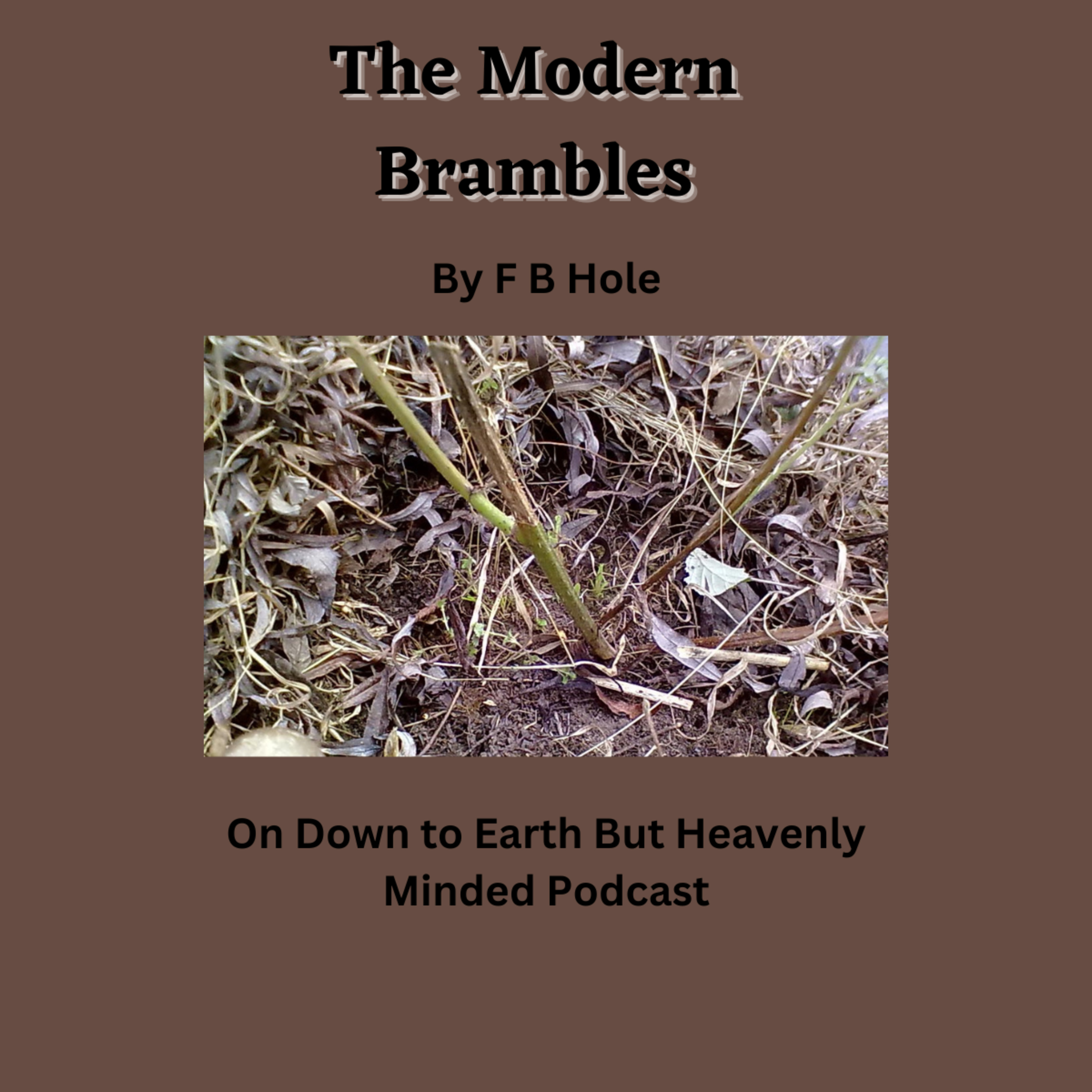 The Modern Brambles, by F B Hole, on Down to Earth But Heavenly Minded Podcast
