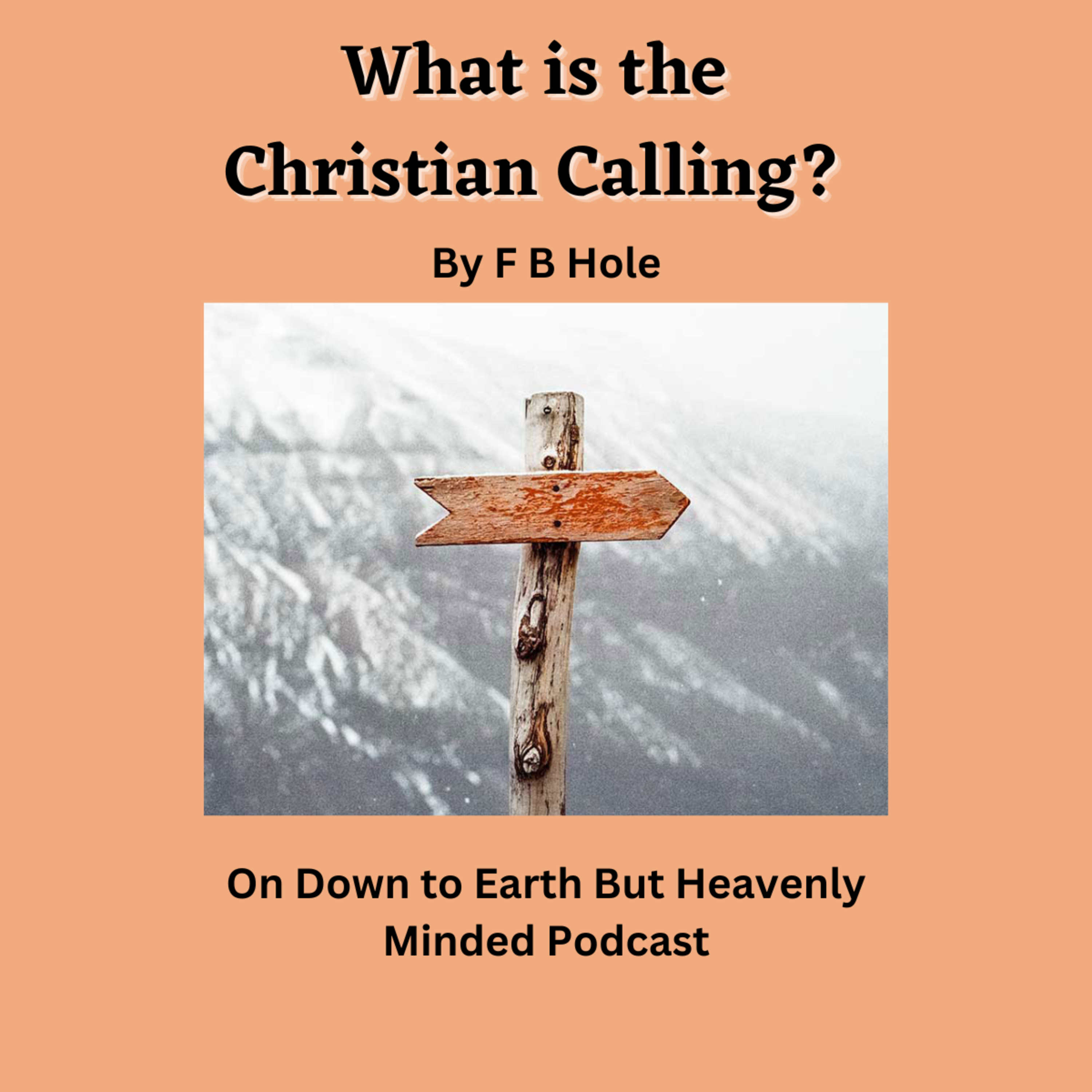 What is the Christian Calling? by F B Hole, On Down to Earth But Heavenly Minded Podcast episode artwork