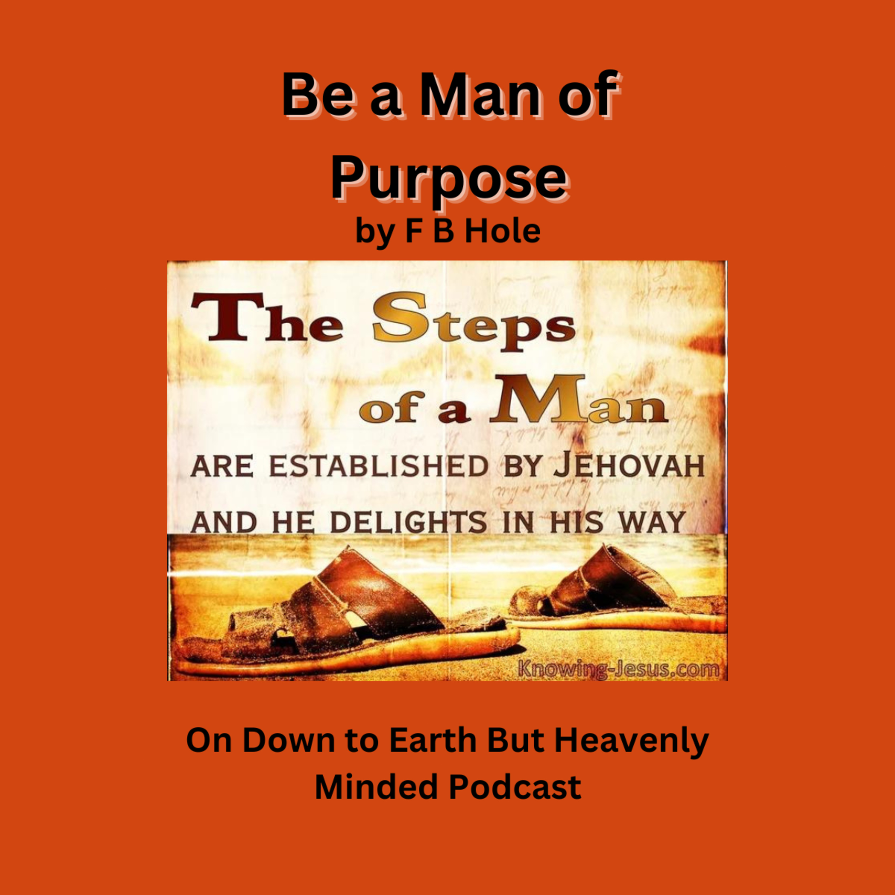 Be a Man of Purpose, by F B Hole, On Down to Earth But Heavenly Minded Podcast episode artwork