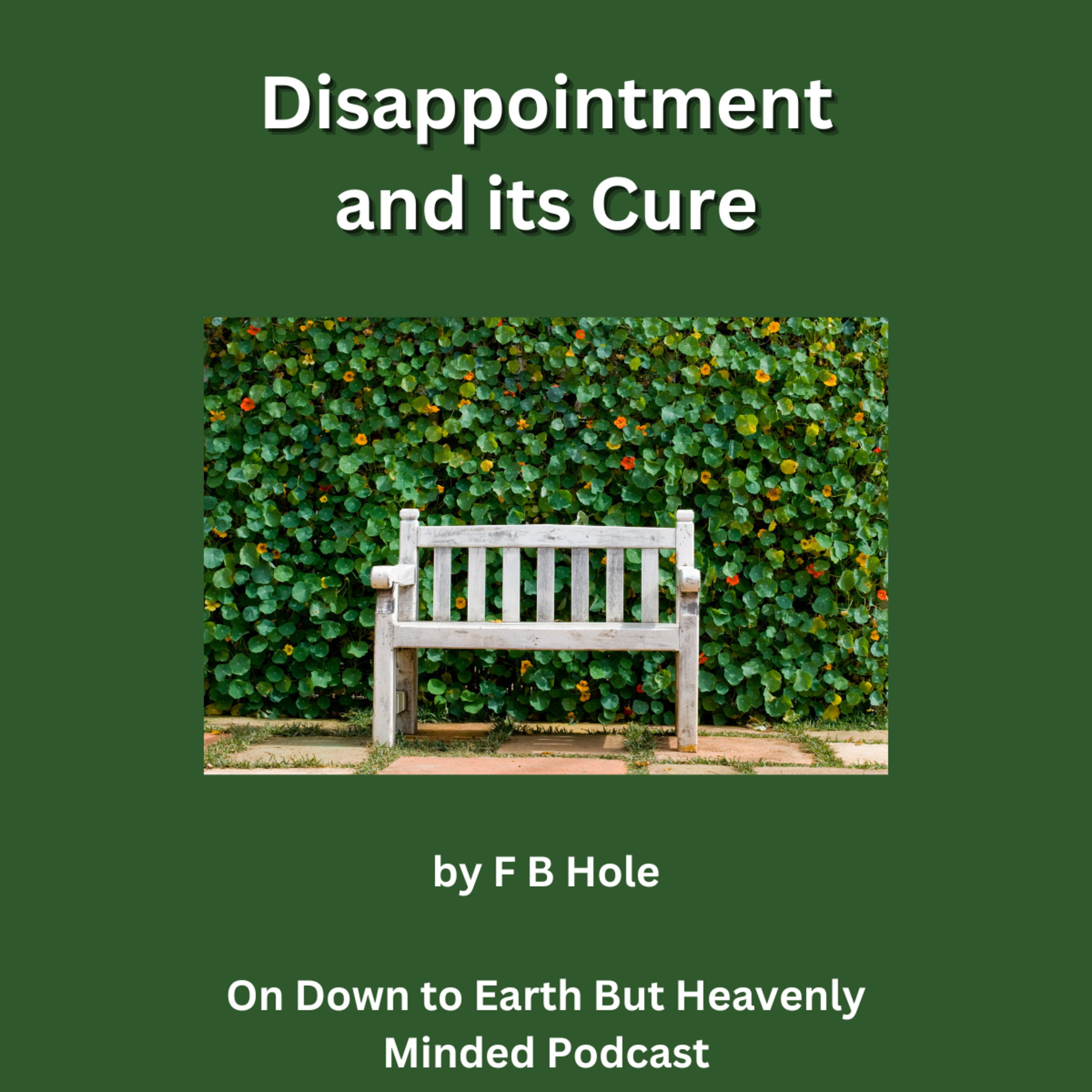 Disappointment and its Cure, by F B Hole, On Down to Earth But Heavenly Minded Podcast episode artwork