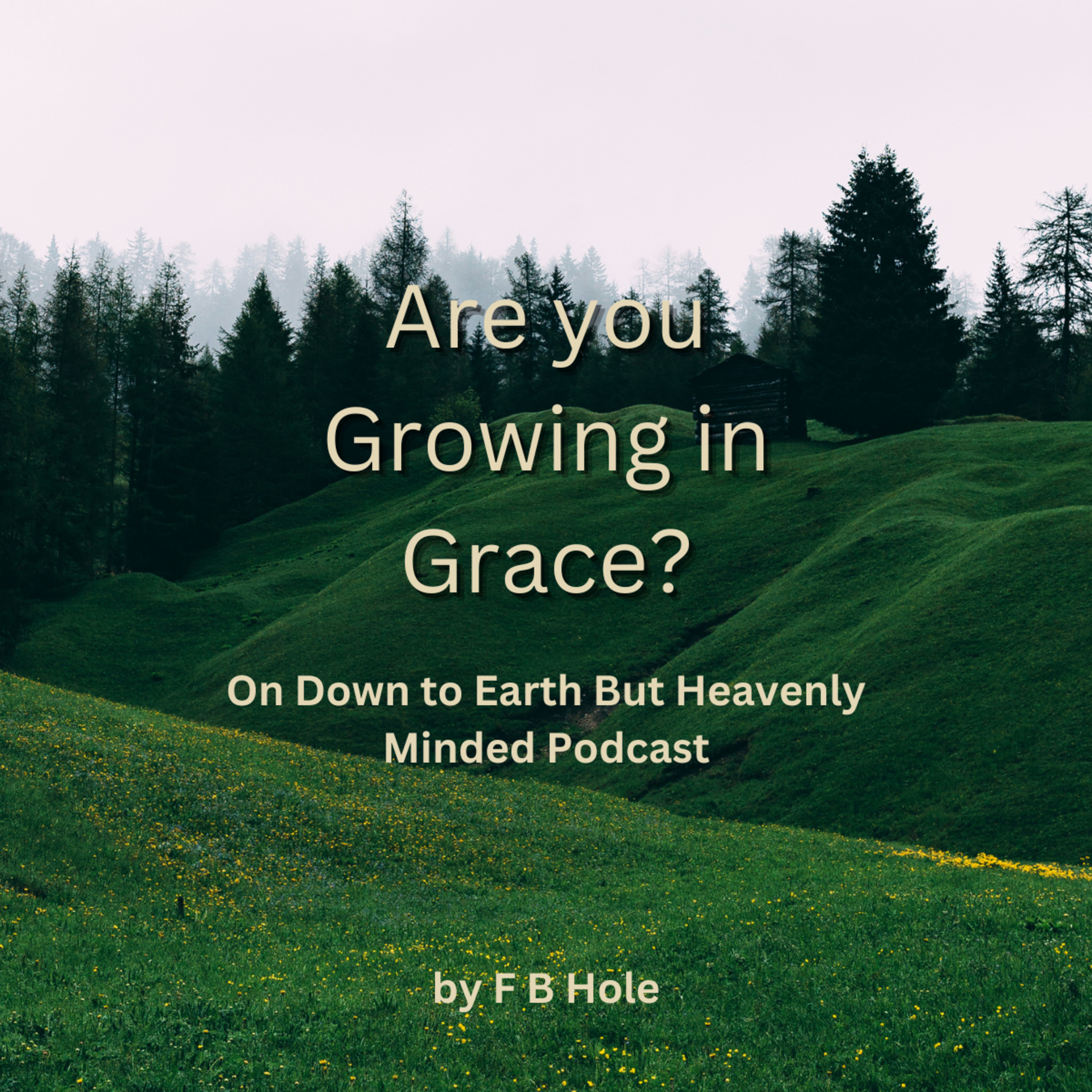 Are you Growing in Grace? by F B Hole, On Down to Earth But Heavenly Minded Podcast episode artwork