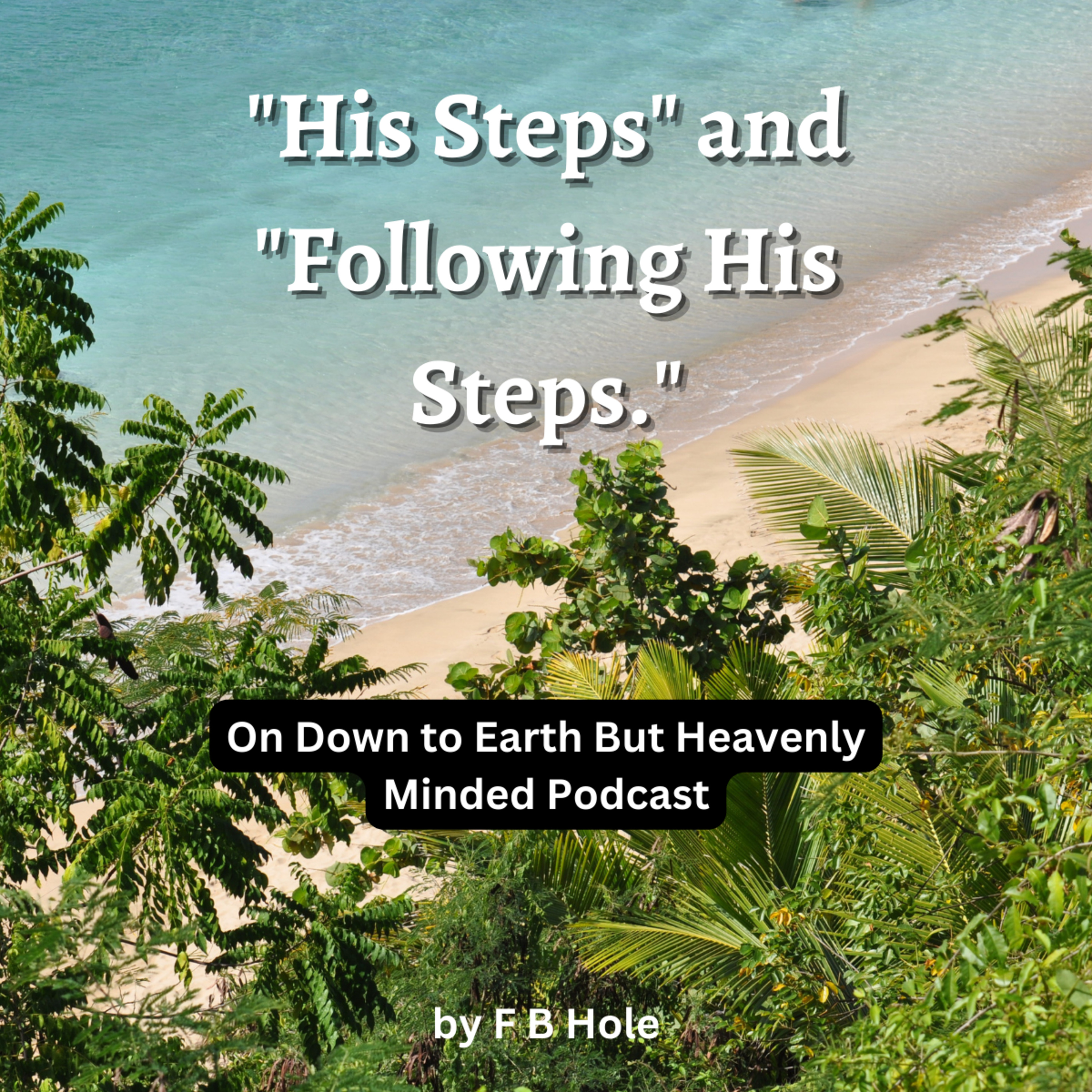 His Steps and Following His Steps, by F B Hole, On Down to Earth But Heavenly Minded Podcast