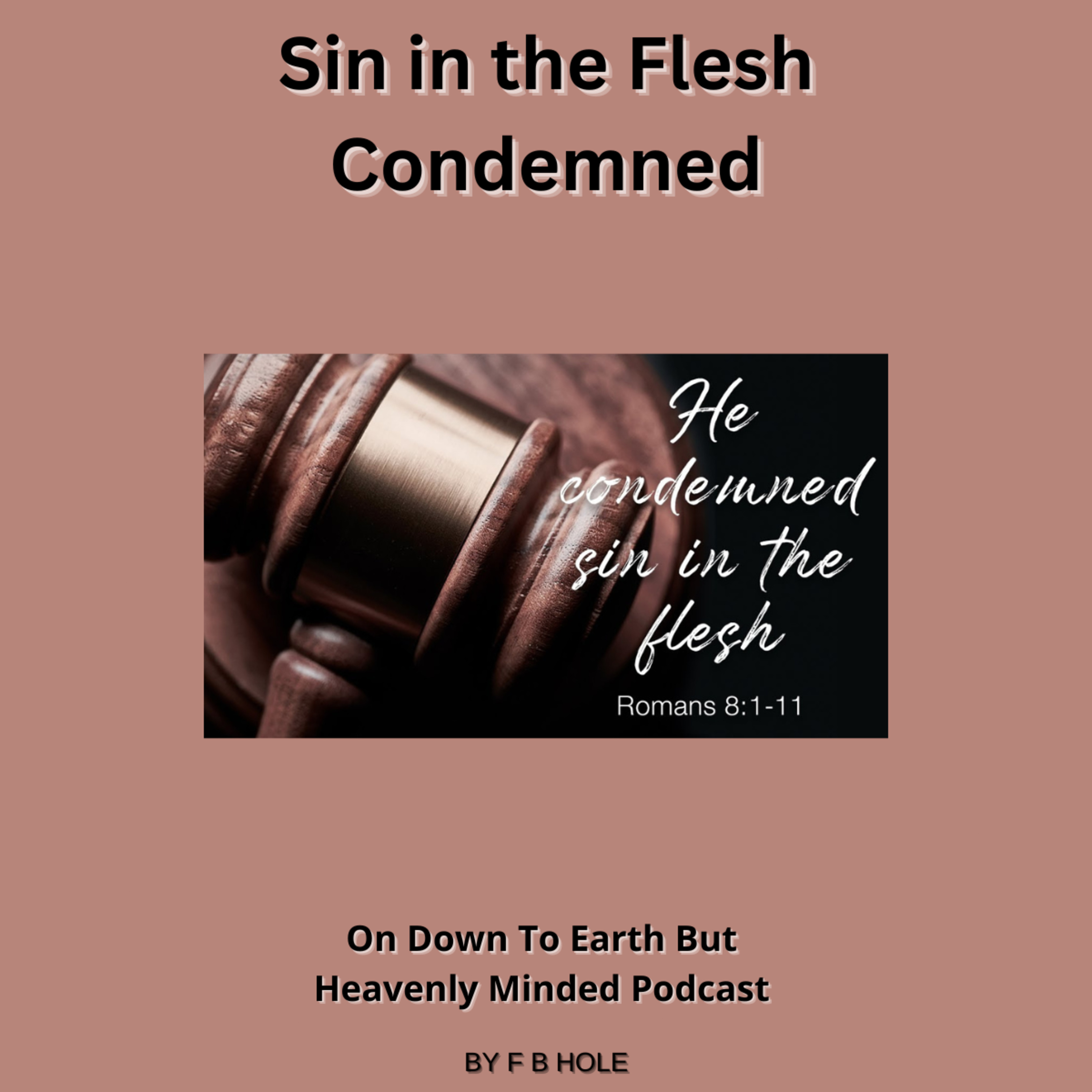 Sin in the Flesh Condemned, On Down to Earth But Heavenly Minded Podcast  episode artwork