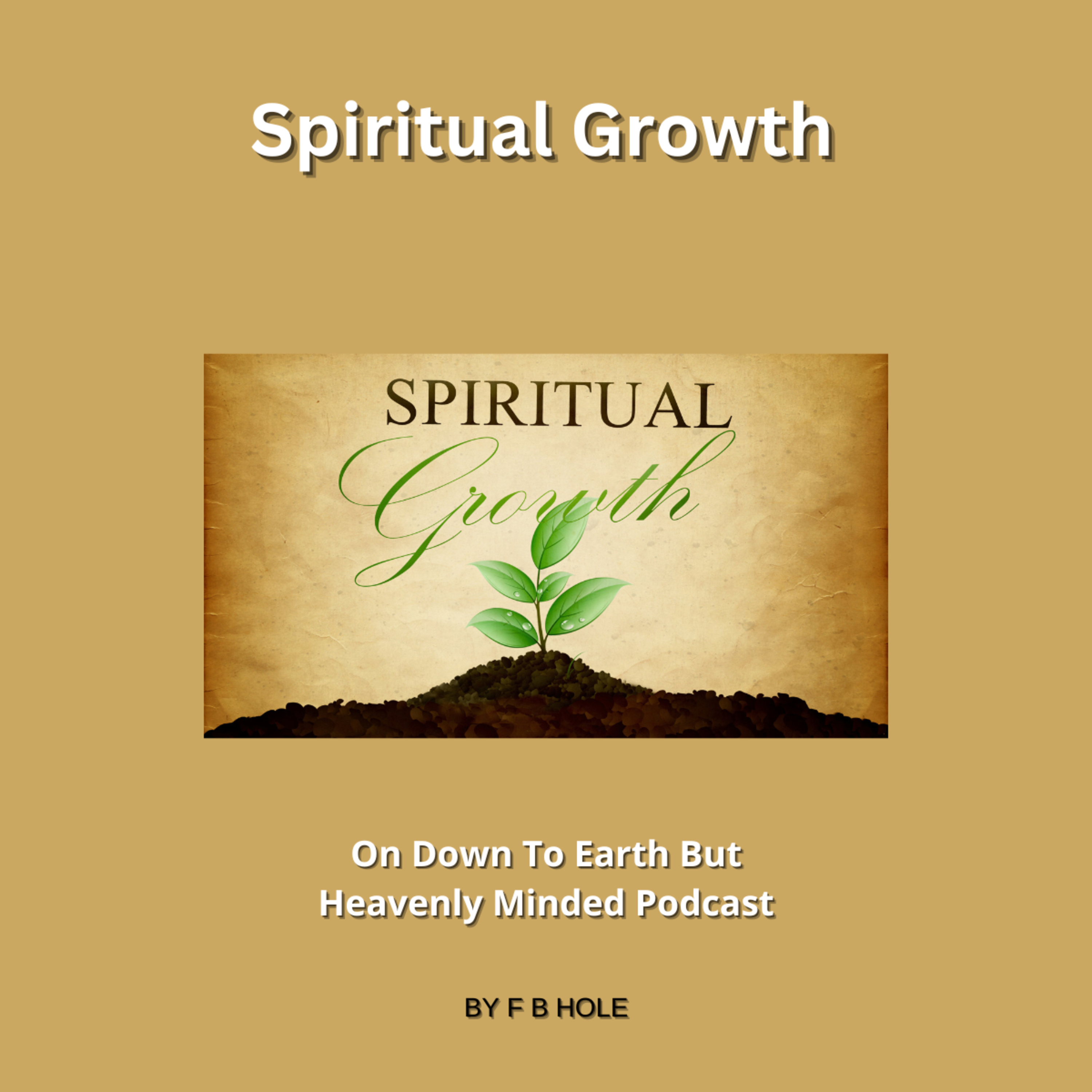 Spiritual Growth On Down to Earth But Heavenly Minded Podcast  episode artwork