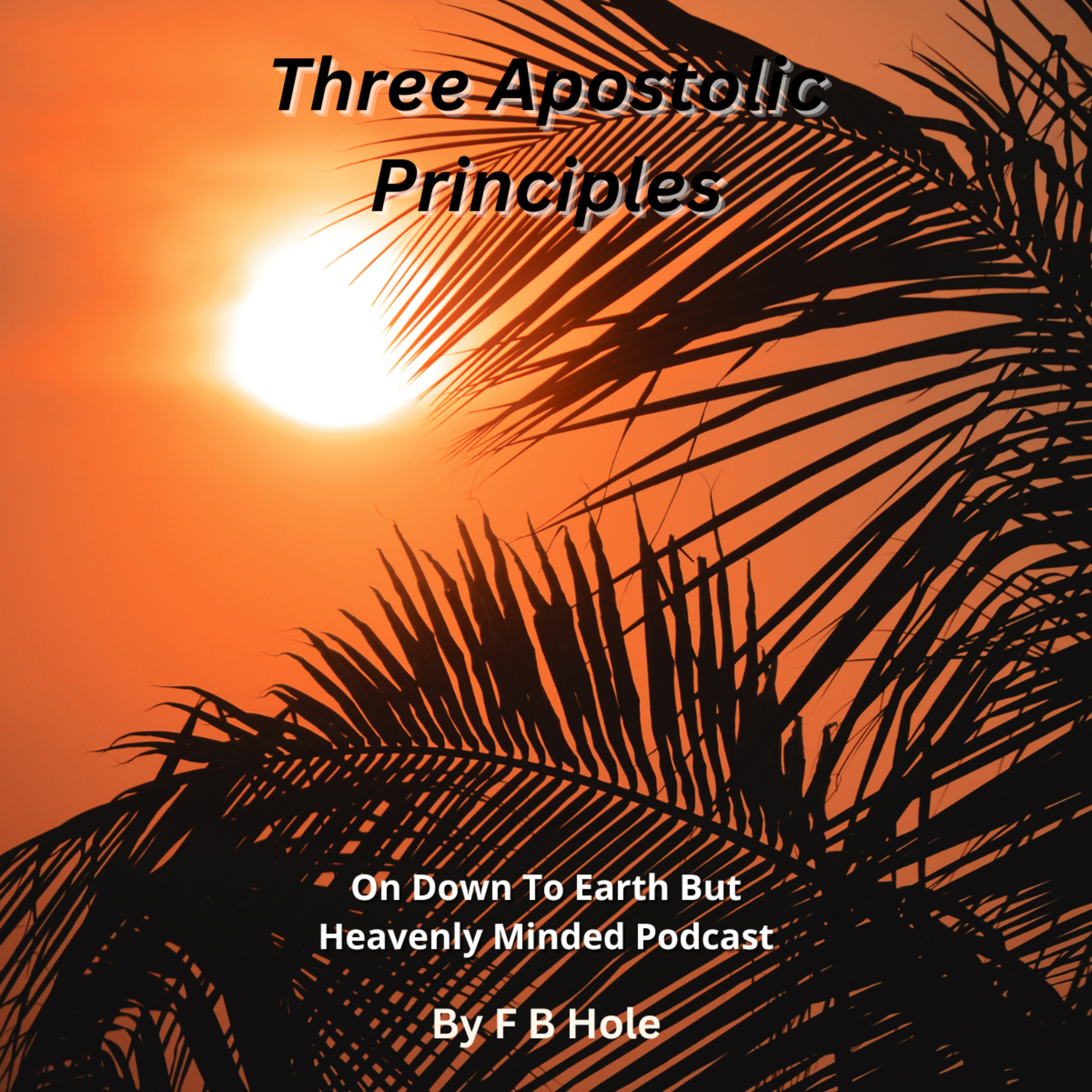 Three Apostolic Principles, On Down to Earth But Heavenly Minded Podcast  episode artwork