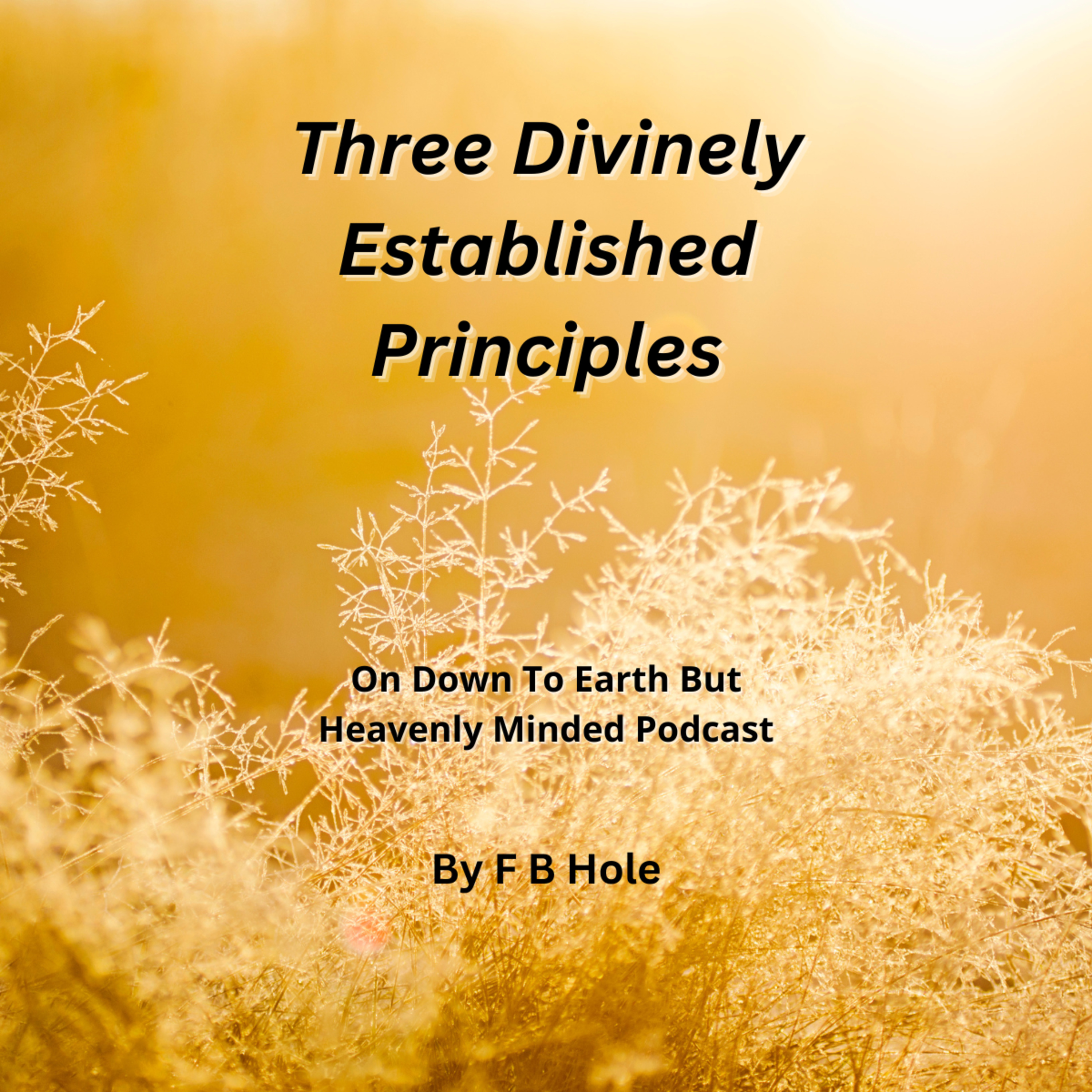 Three Divinely Established Principles, by F B Hole, On Down to Earth But Heavenly Minded Podcast 