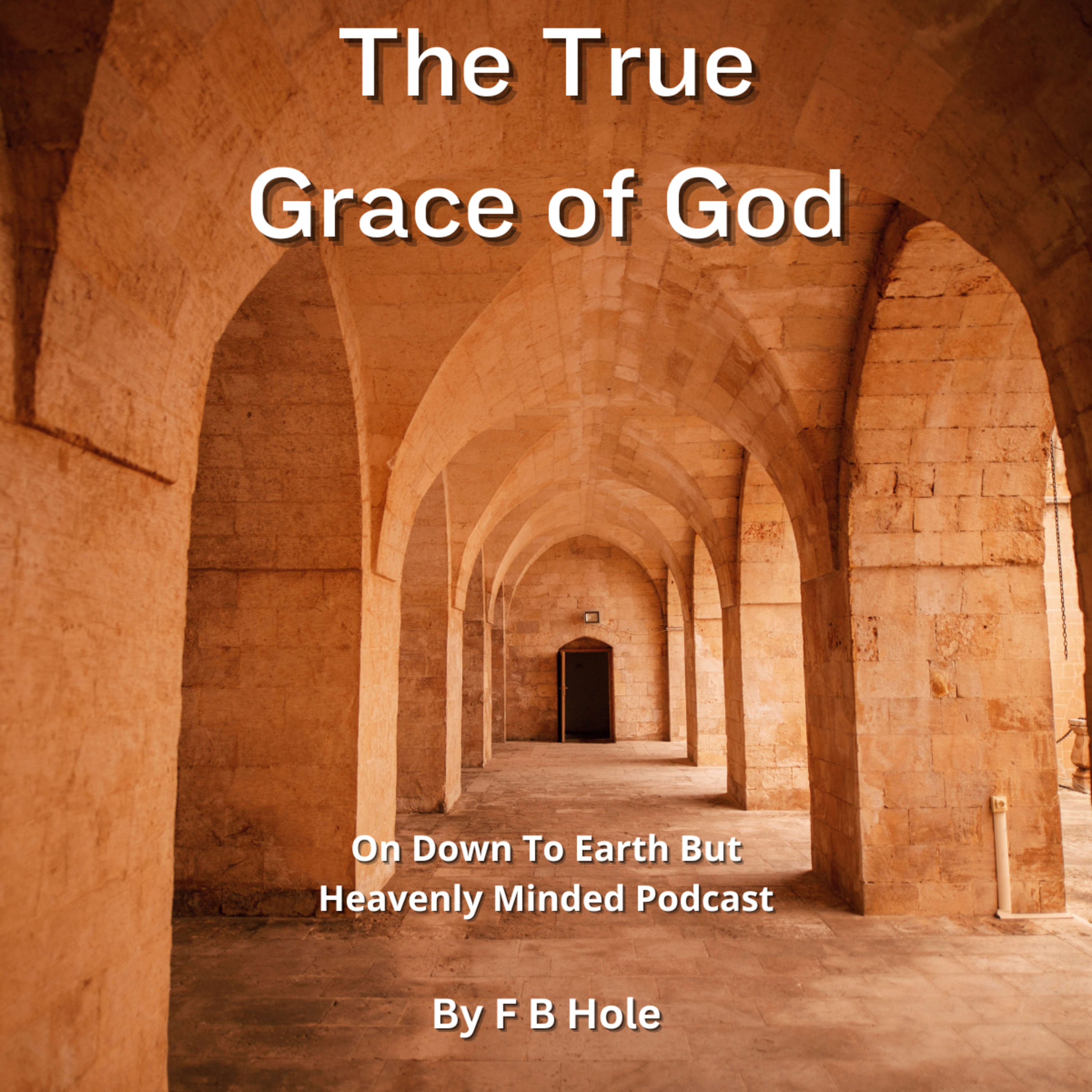 The True Grace of God, by F B Hole, On Down to Earth But Heavenly Minded Podcast  episode artwork