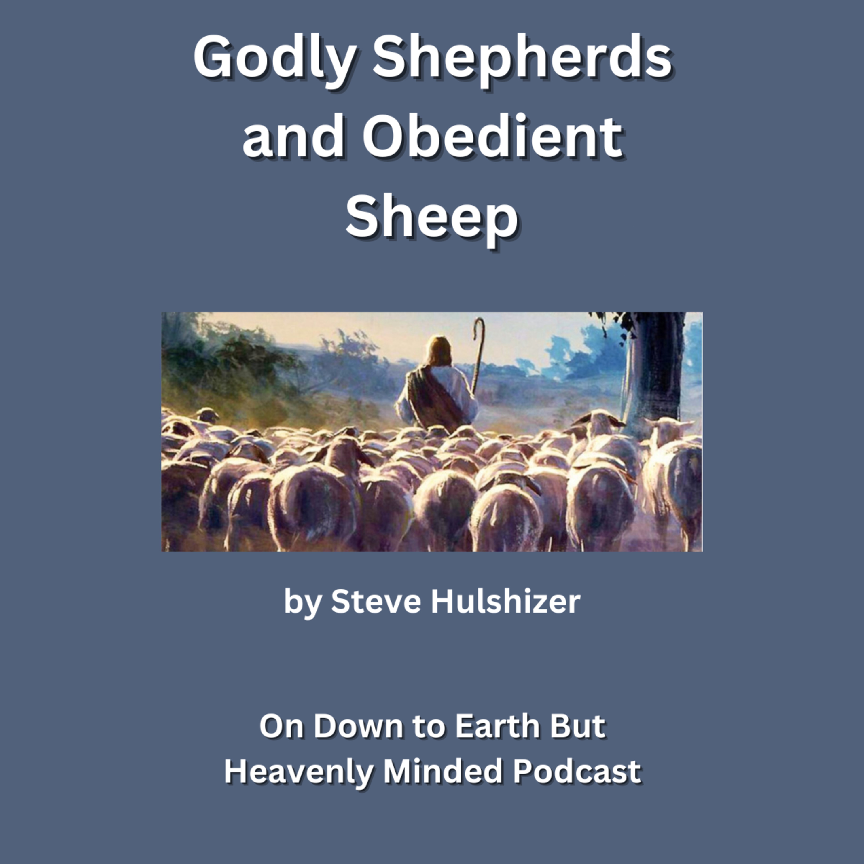 Godly Shepherds and Obedient Sheep, By Steve Hulshizer, On Down to Earth But Heavenly Minded Podcast  episode artwork