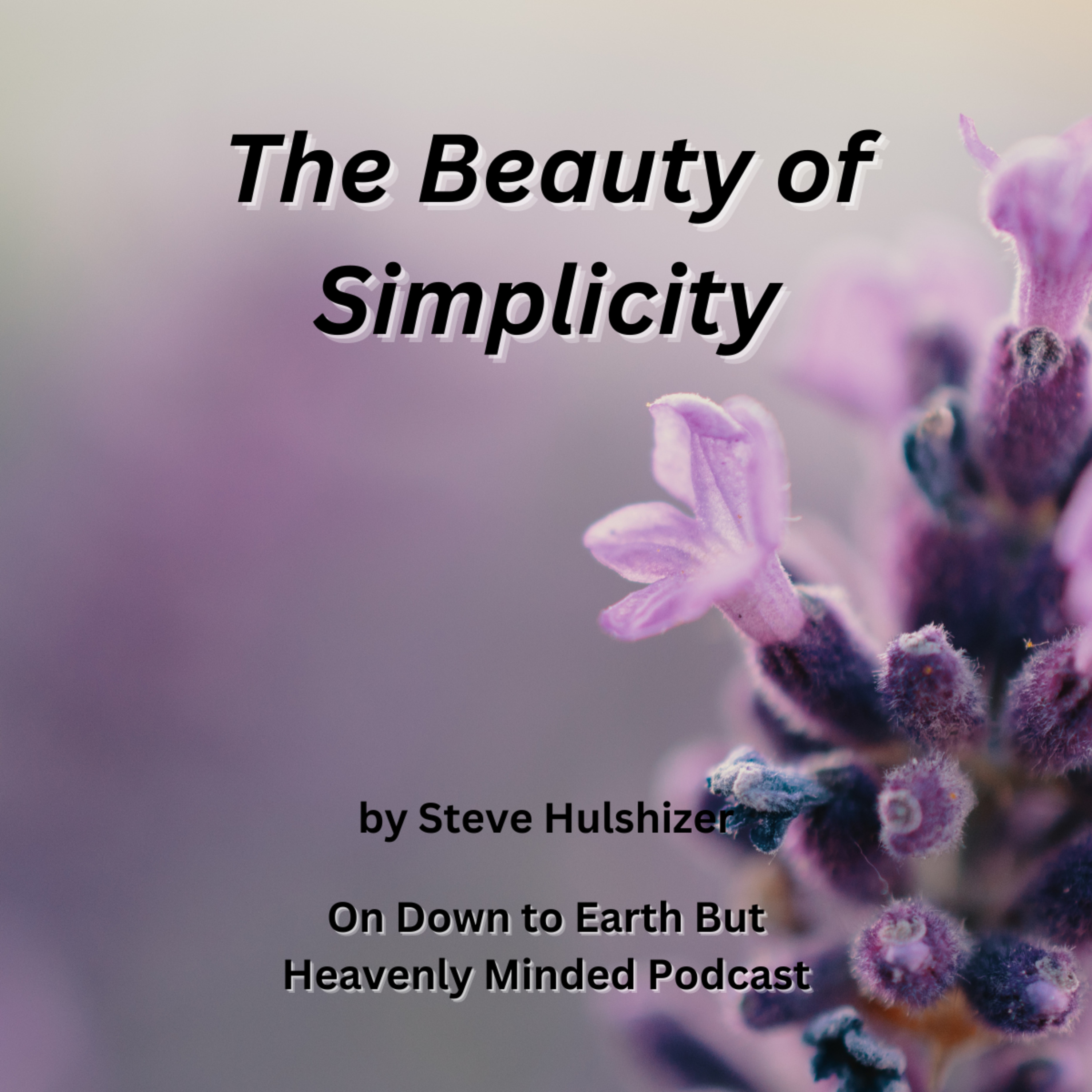 The Beauty of Simplicity, By Steve Hulshizer, On Down to Earth But Heavenly Minded Podcast episode artwork