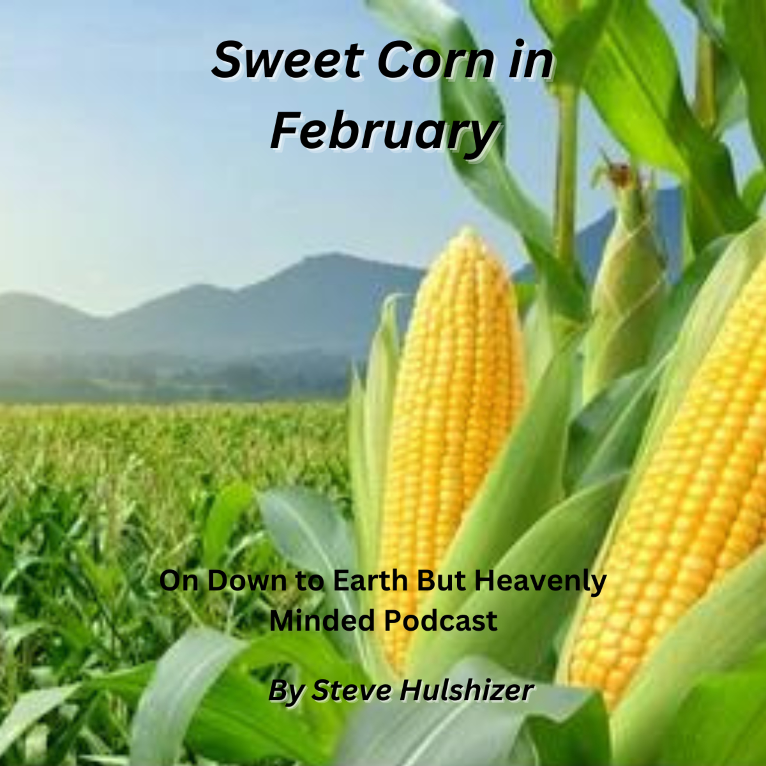 Sweet Corn in February, By Steve Hulshizer, On Down to Earth But Heavenly Minded Podcast  episode artwork