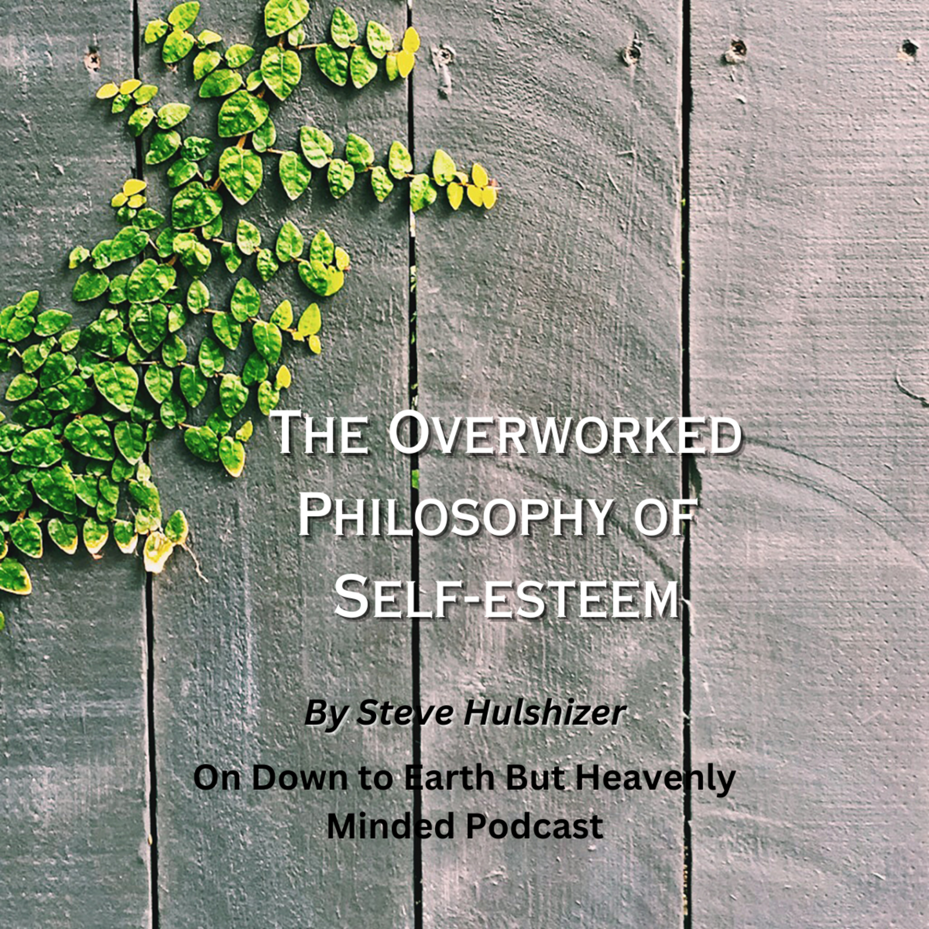 The Overworked Philosophy of Self-esteem, By Steve Hulshizer On Down to Earth But Heavenly Minded PC