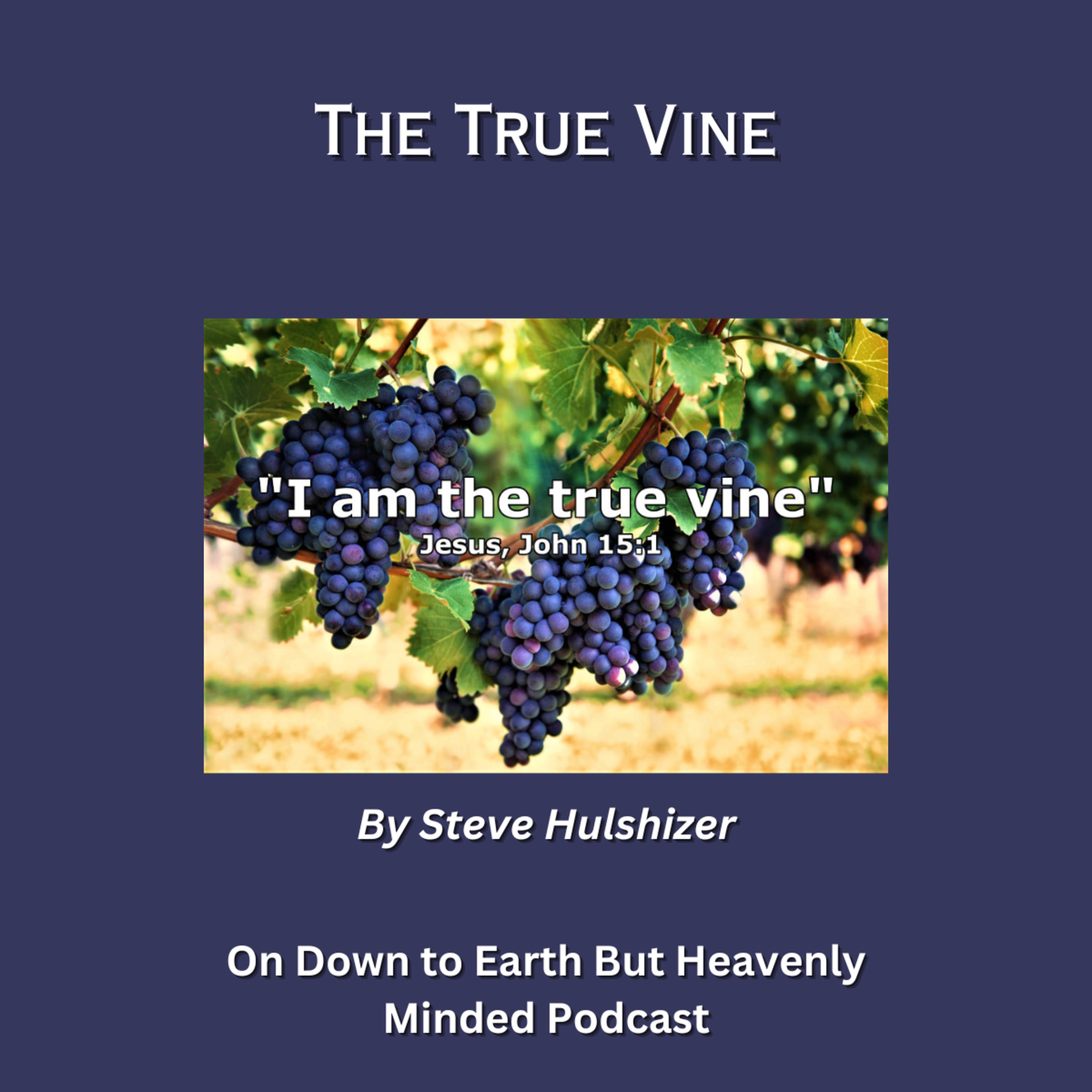 The True Vine, By Steve Hulshizer On Down to Earth But Heavenly Minded Podcast episode artwork