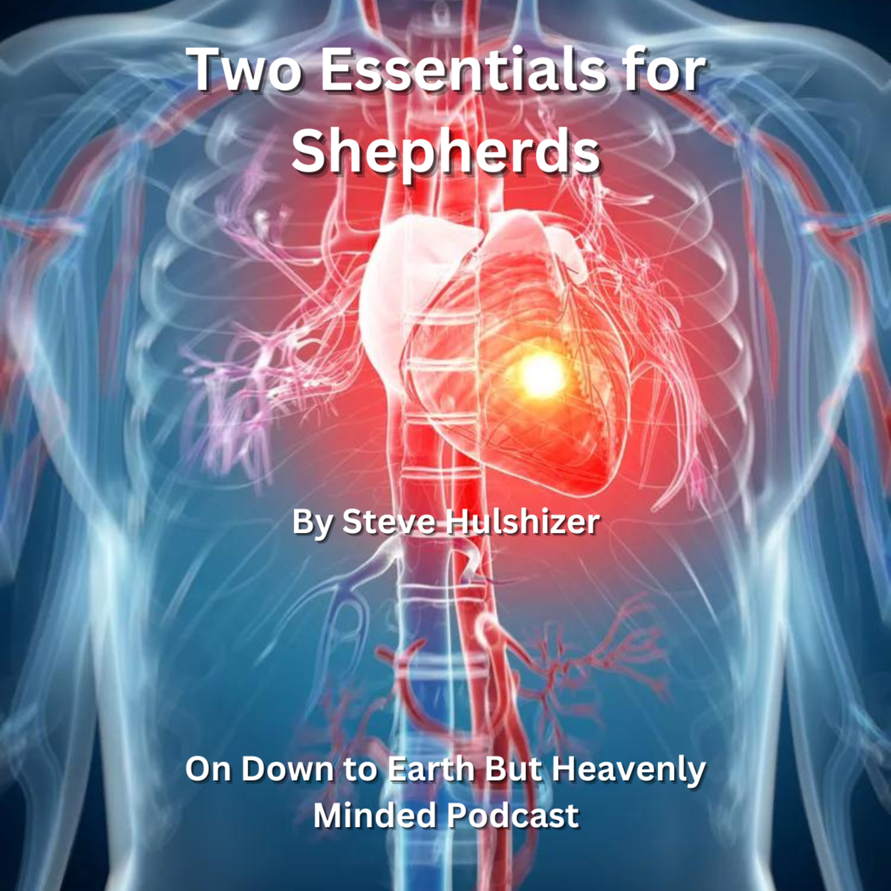 Two Essentials for Shepherds, By Steve Hulshizer On Down to Earth But Heavenly Minded Podcast episode artwork