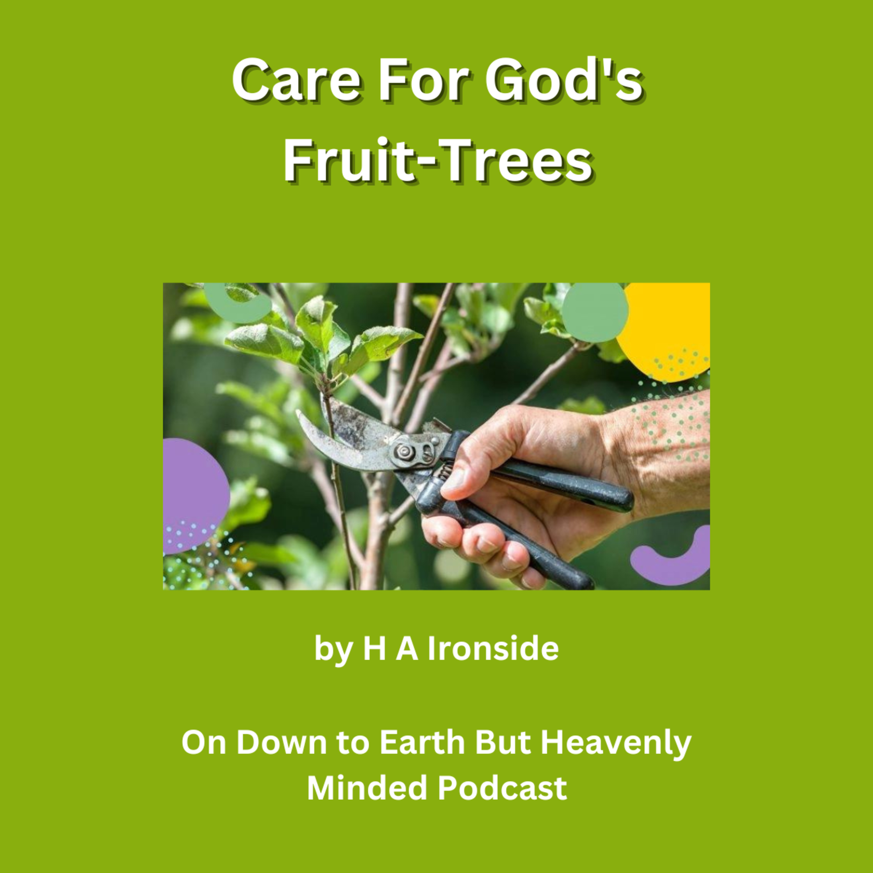 Care For God's Fruit-Trees by H A I, Chapter 5 The Gospel Of The Ever-Faithful Servant episode artwork