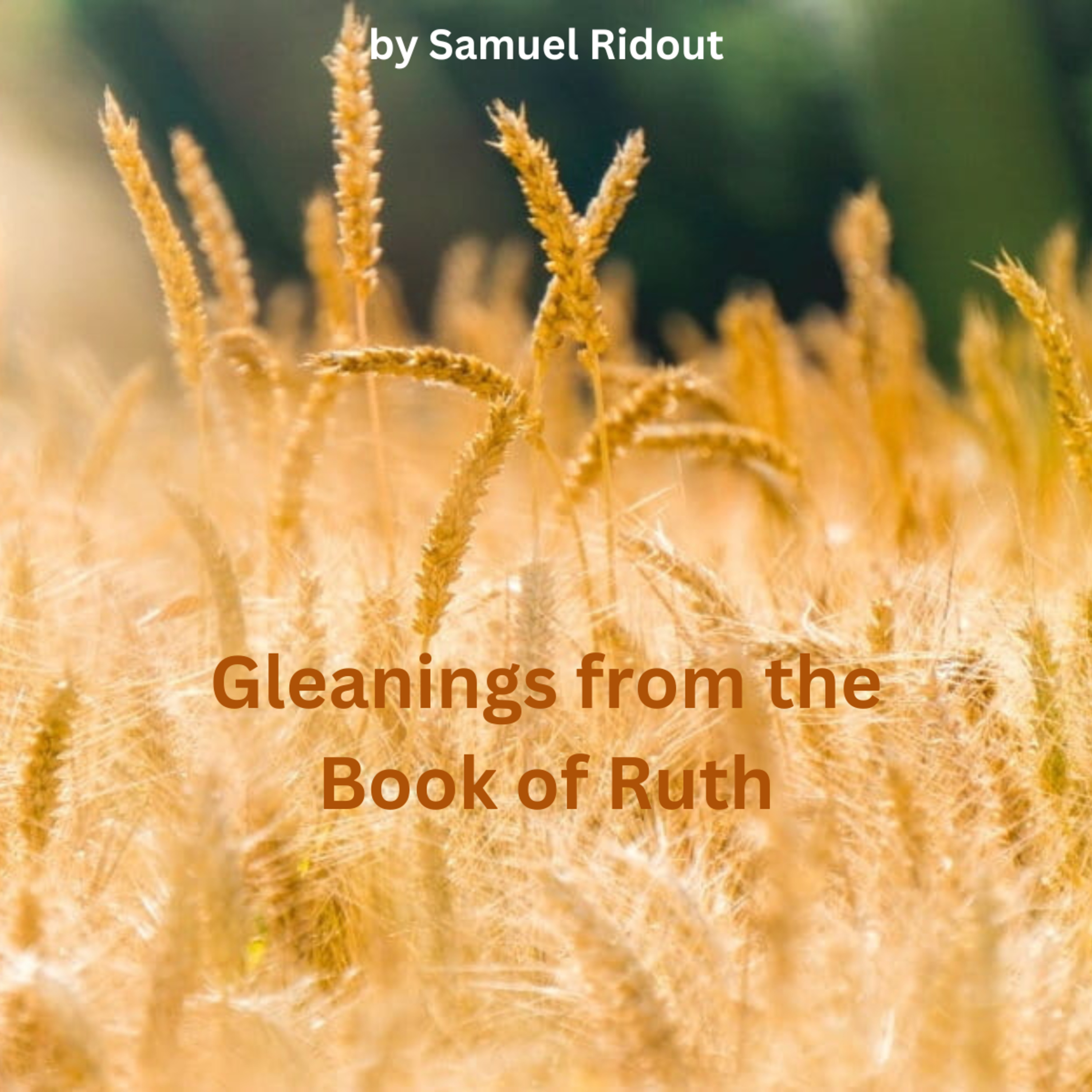 Gleanings from the Book of Ruth, Introduction episode artwork