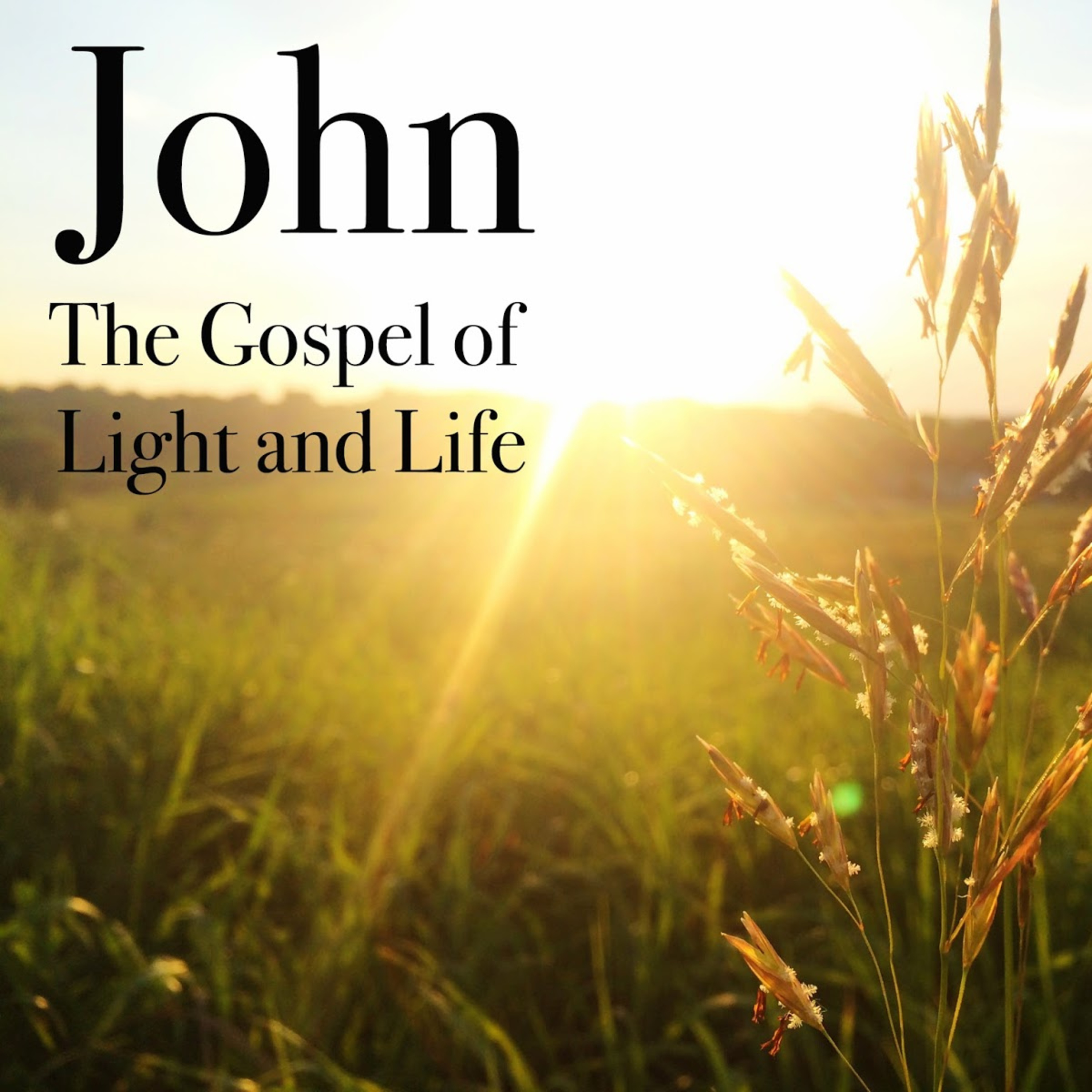 Learning from God, Scripture Reading, The Gospel of John, Chapter 1
