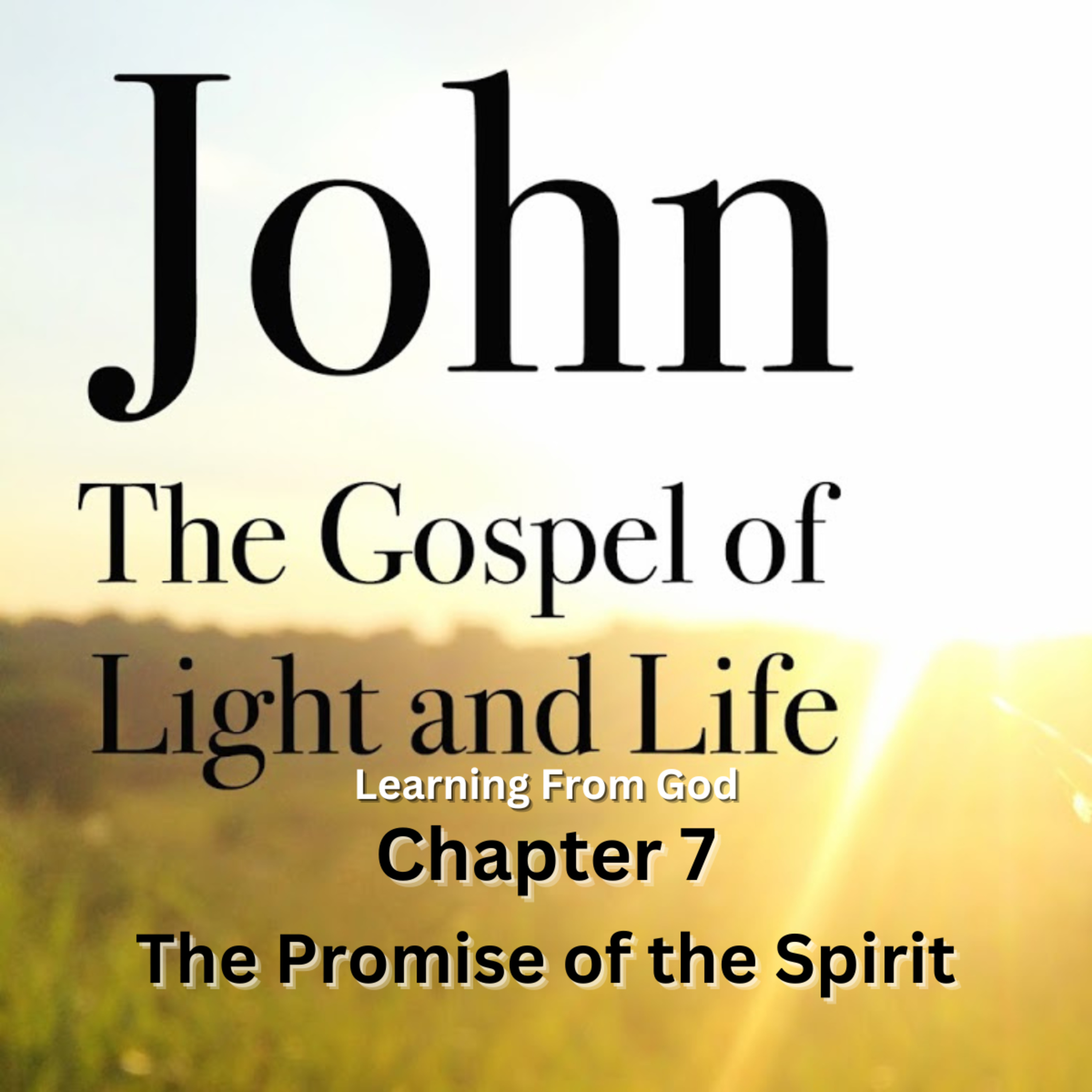 Expository Commentary on John, by H A Ironside, The Promise of the Spirit episode artwork
