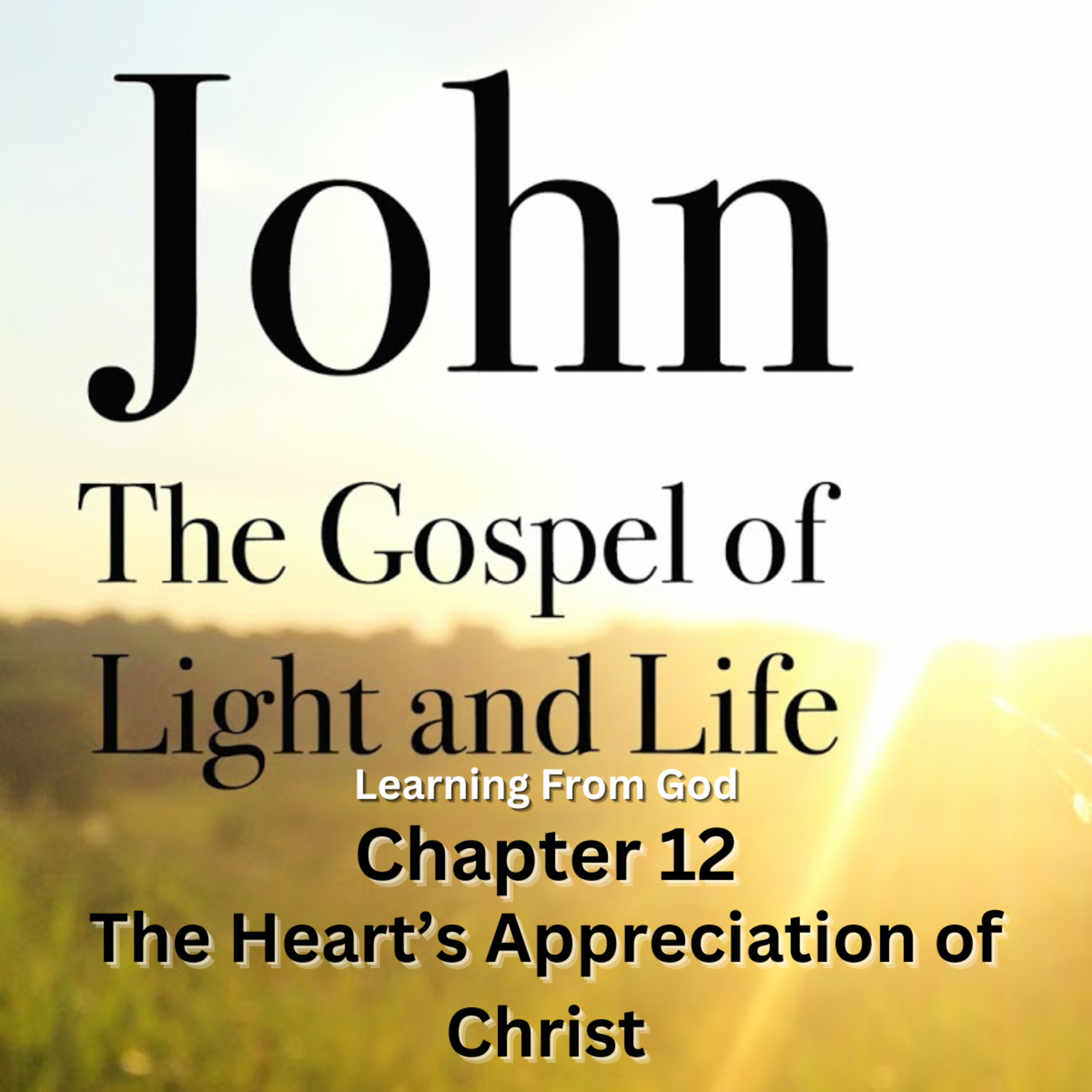 Expository Commentary on John, by H A Ironside, Address 37 The Heart's Appreciation of Christ episode artwork