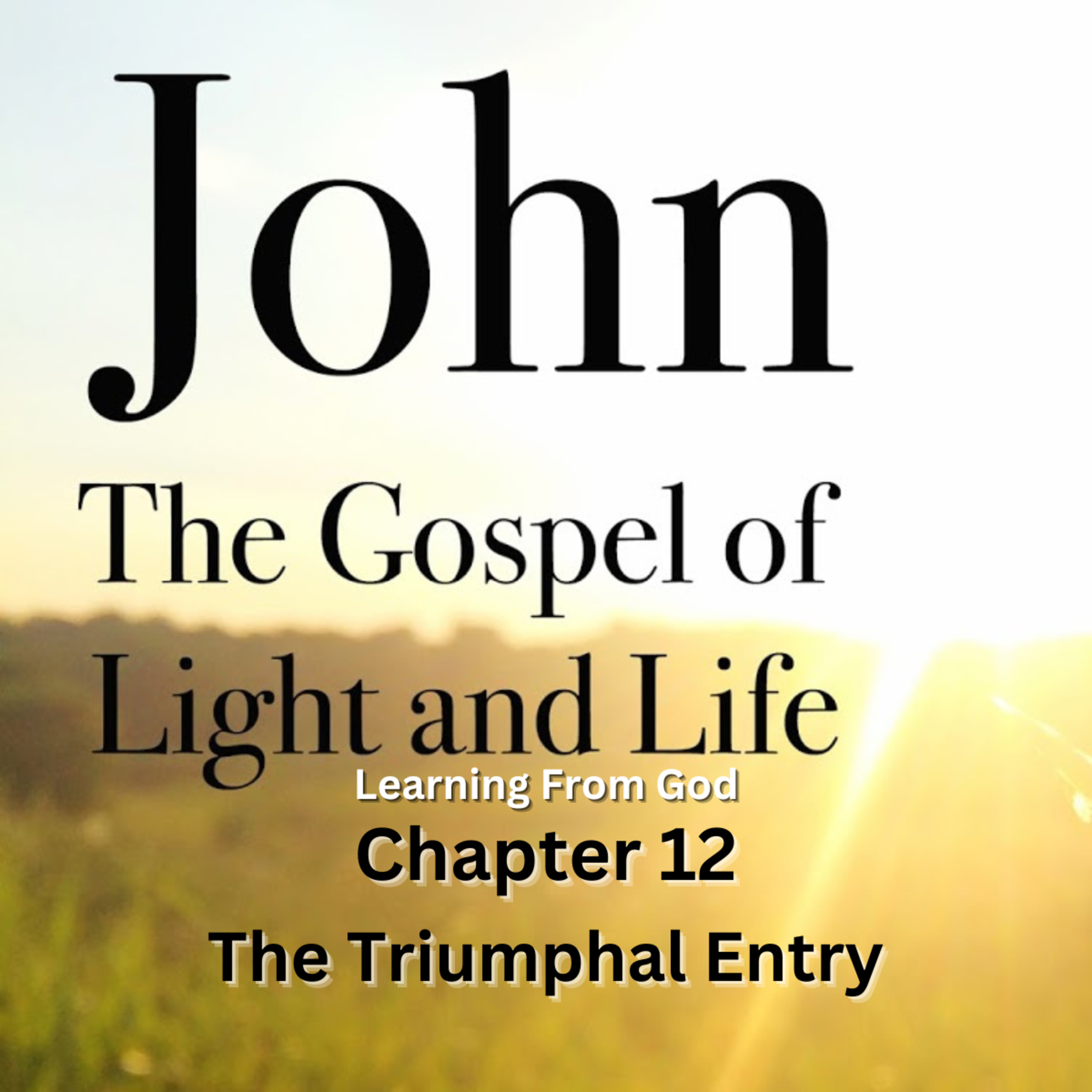 Expository Commentary on John, by H A Ironside, Address 38 The Triumphal Entry episode artwork